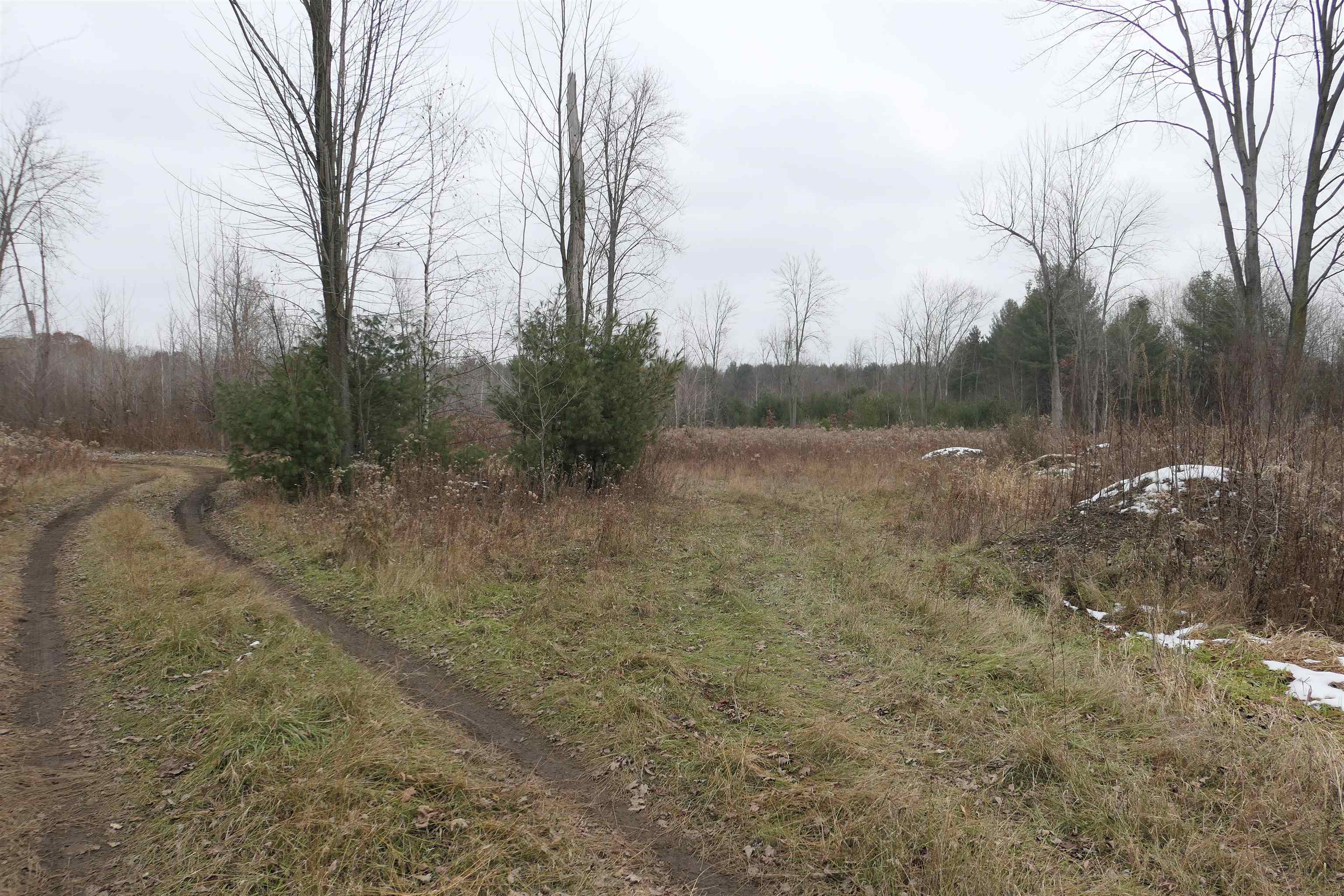 Tbd E Pickard Road Chippewa Township MI 48858
