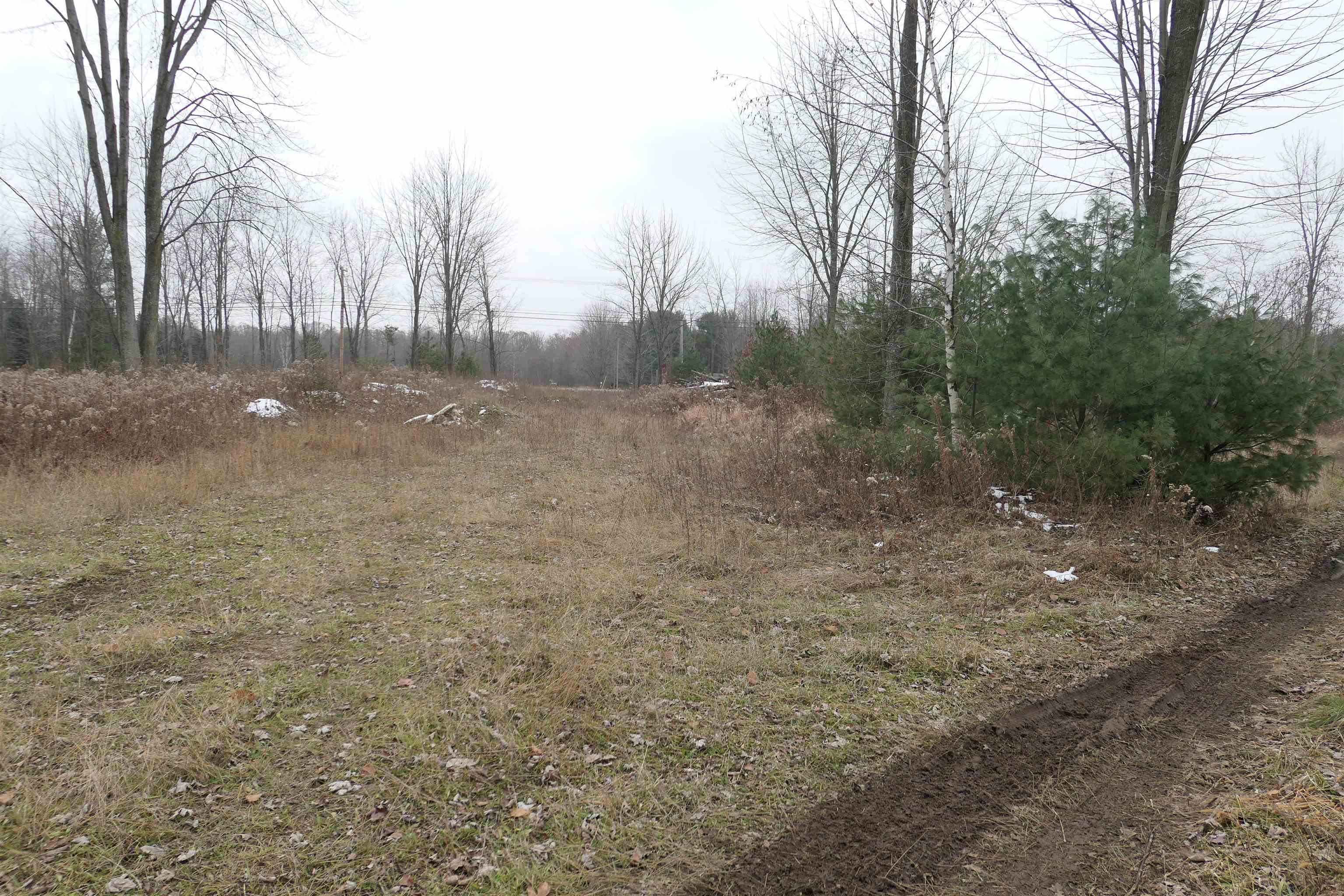 Tbd E Pickard Road Chippewa Township MI 48858
