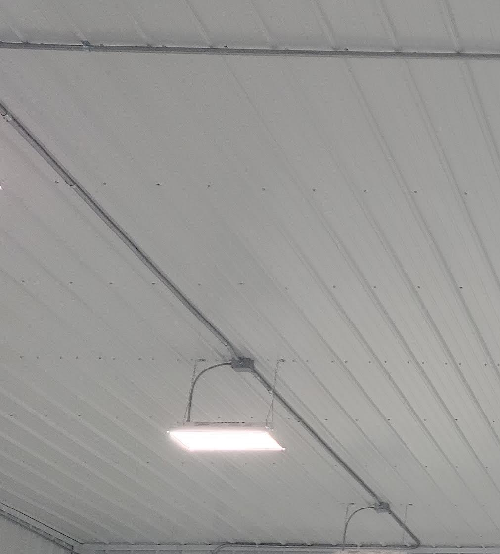 3032 Luxury Barn Lane Blair Township MI 49685