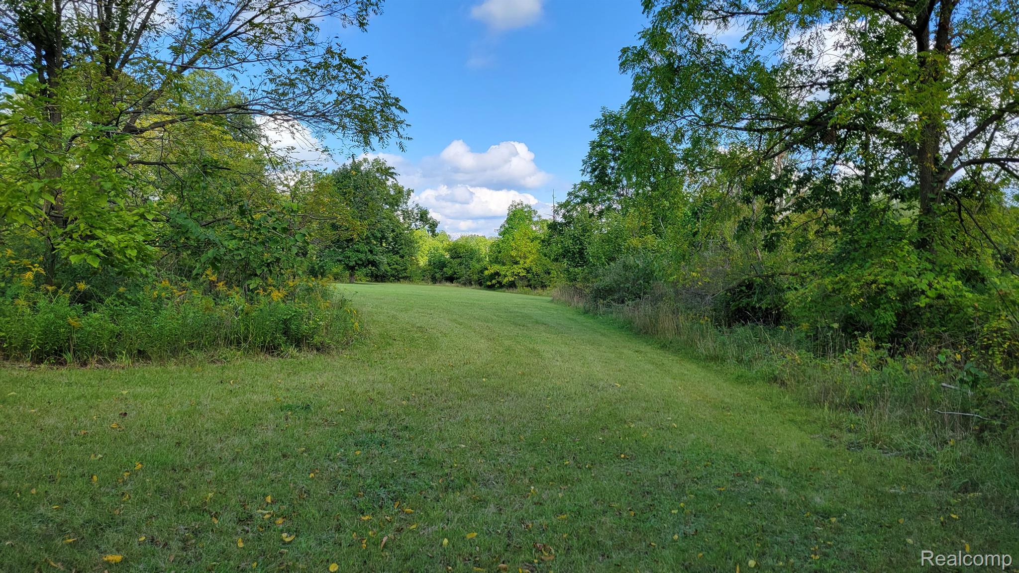427 N Steer Street Addison Village MI 49220