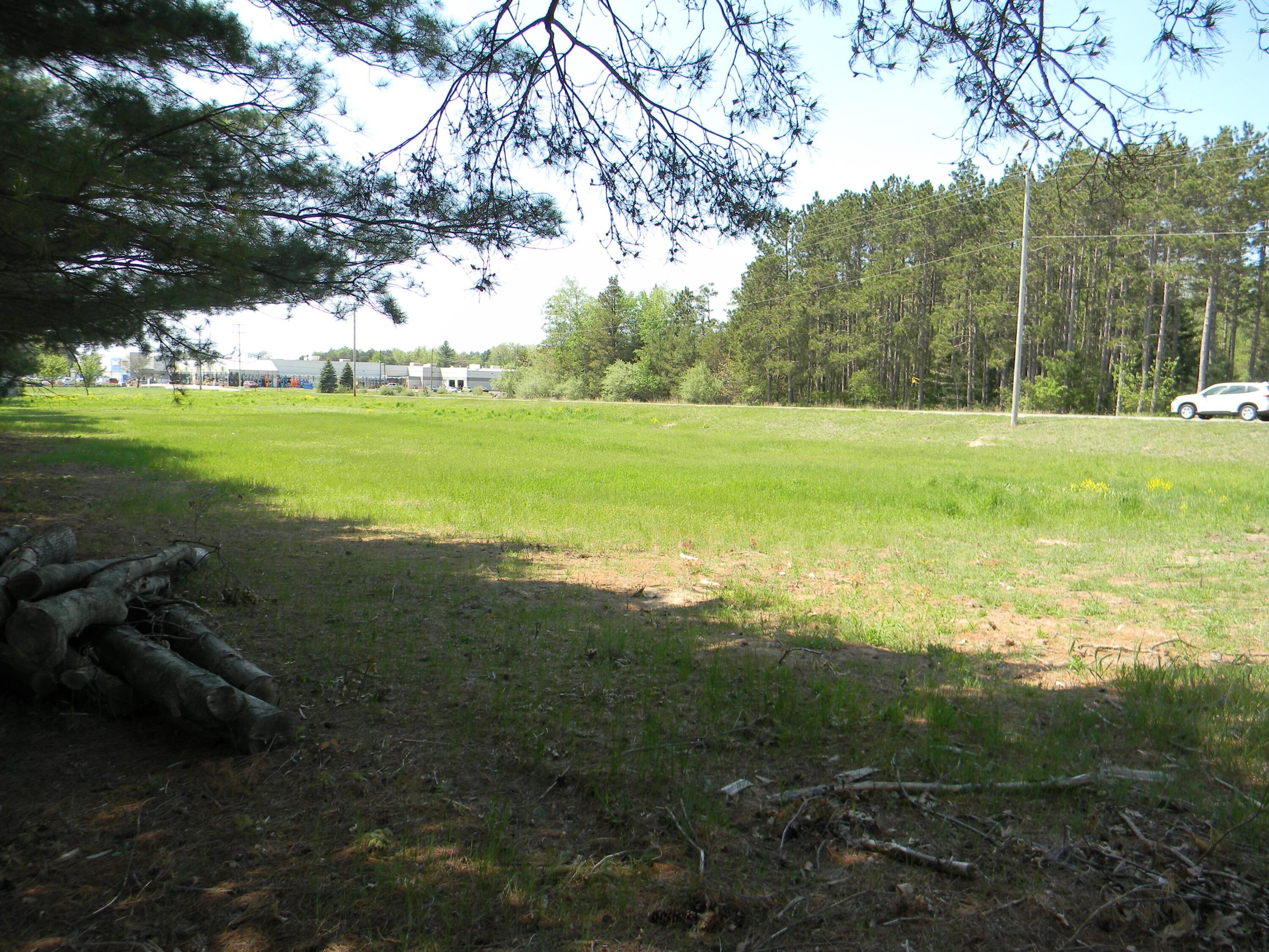 4770 John Harlan Drive Amber Township MI 49431
