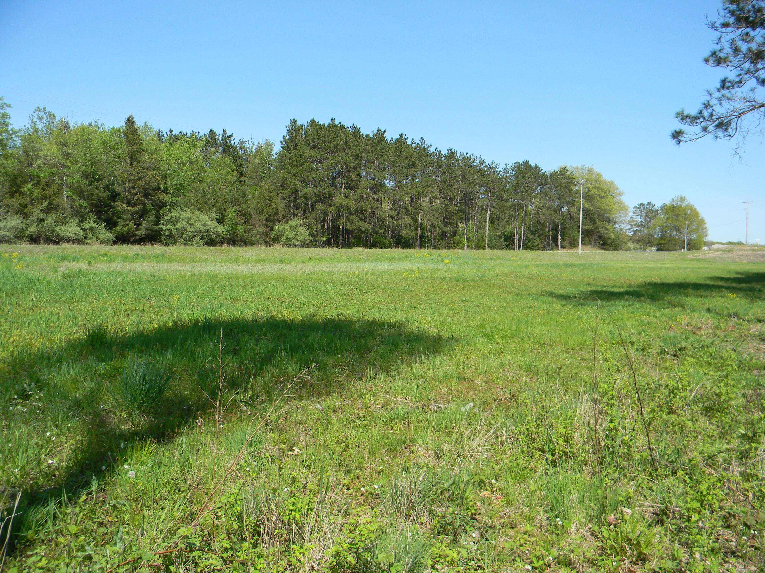 4770 John Harlan Drive Amber Township MI 49431