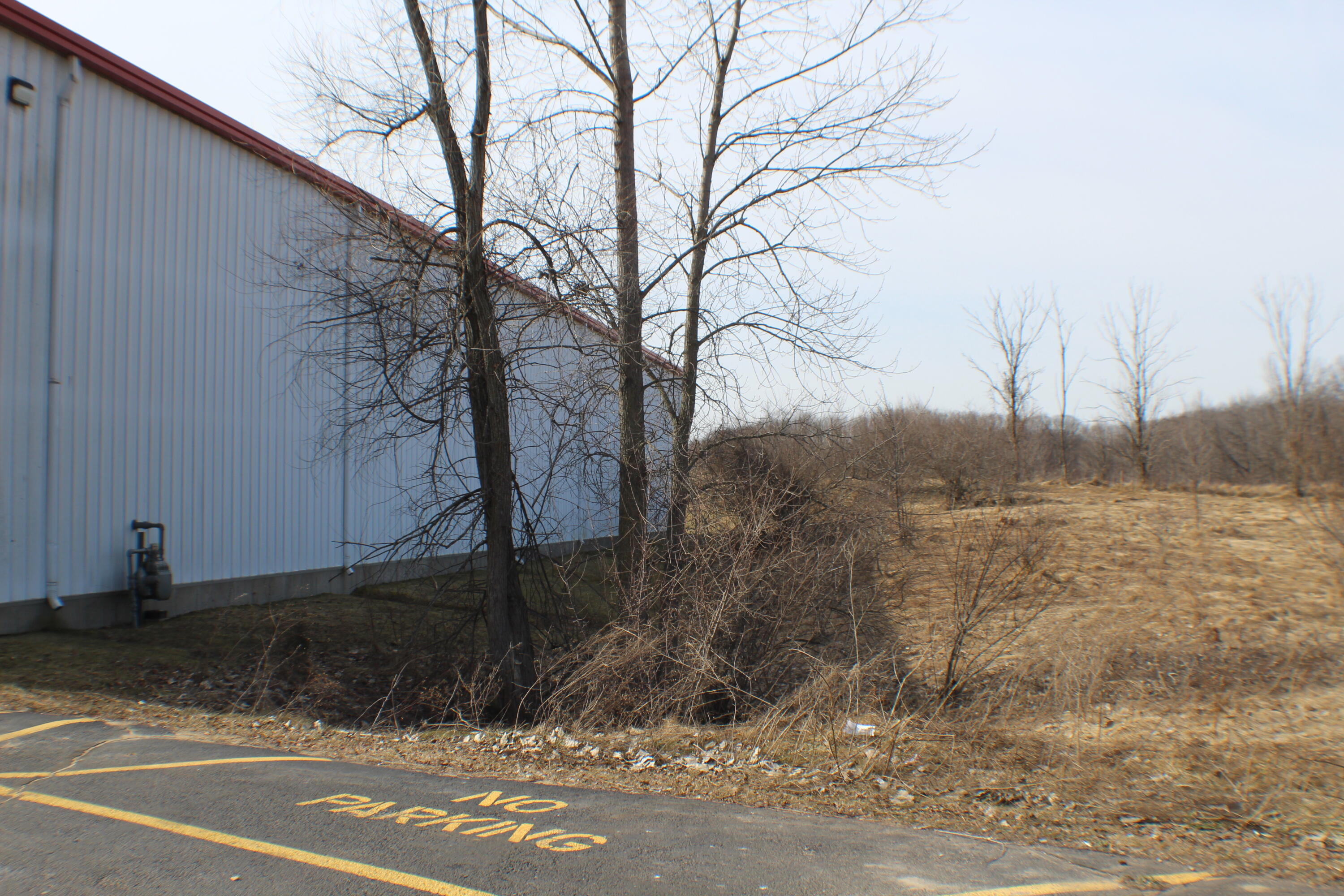 14301 White Creek Avenue NE Cedar Springs City MI 49319