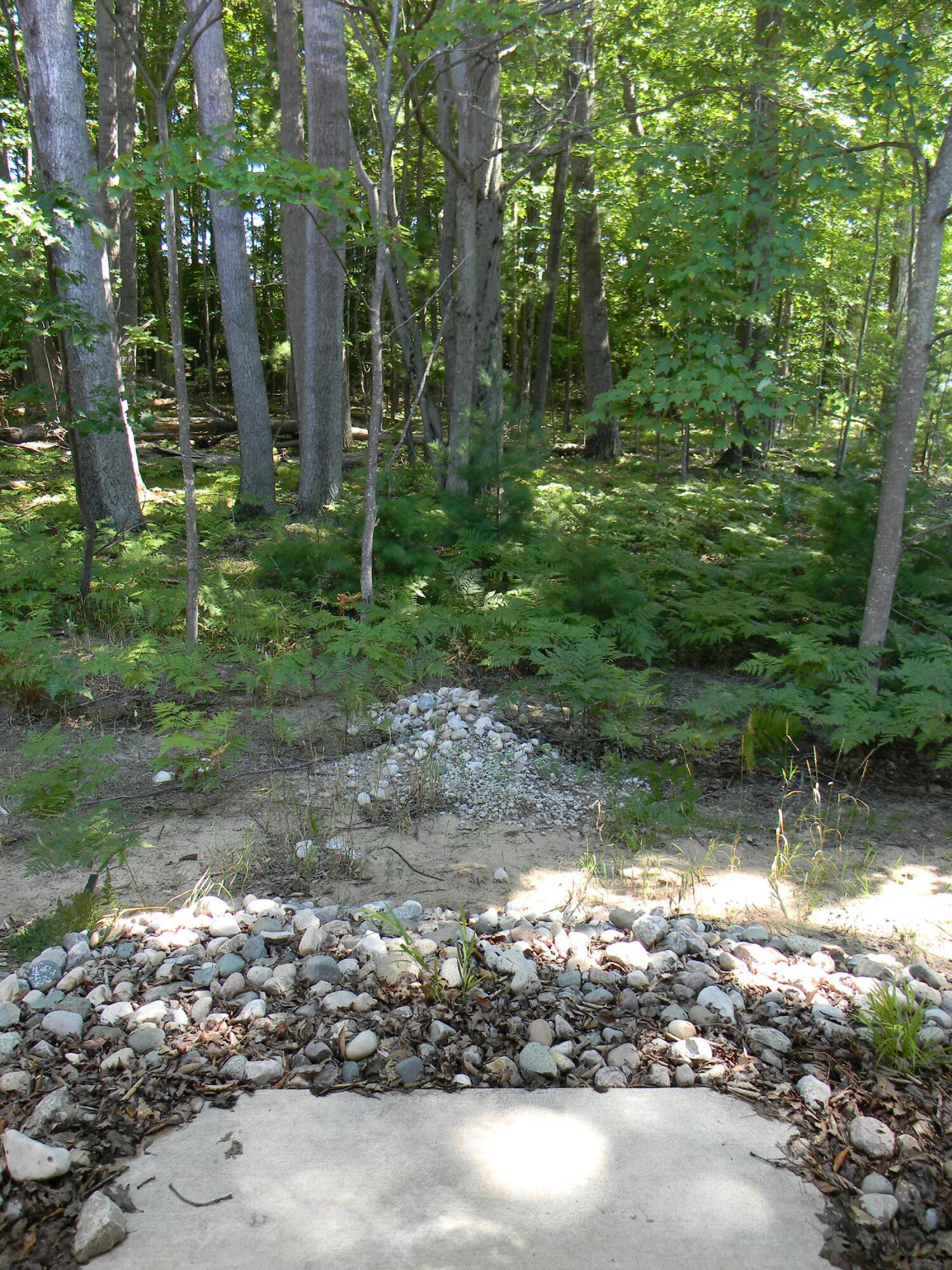 3750 N U-own-it Lane Hamlin Township MI 49431