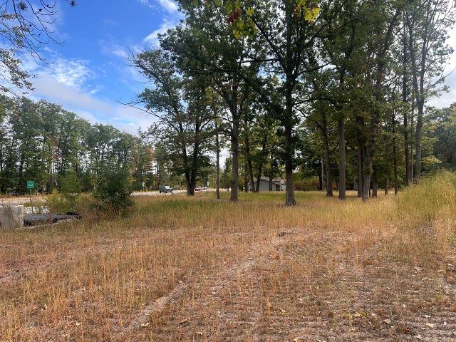 Tbd Mitten Drive East Bay Township MI 49686