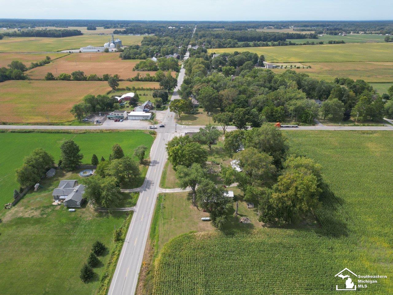 10606 Lewis Avenue Bedford Township MI 48182