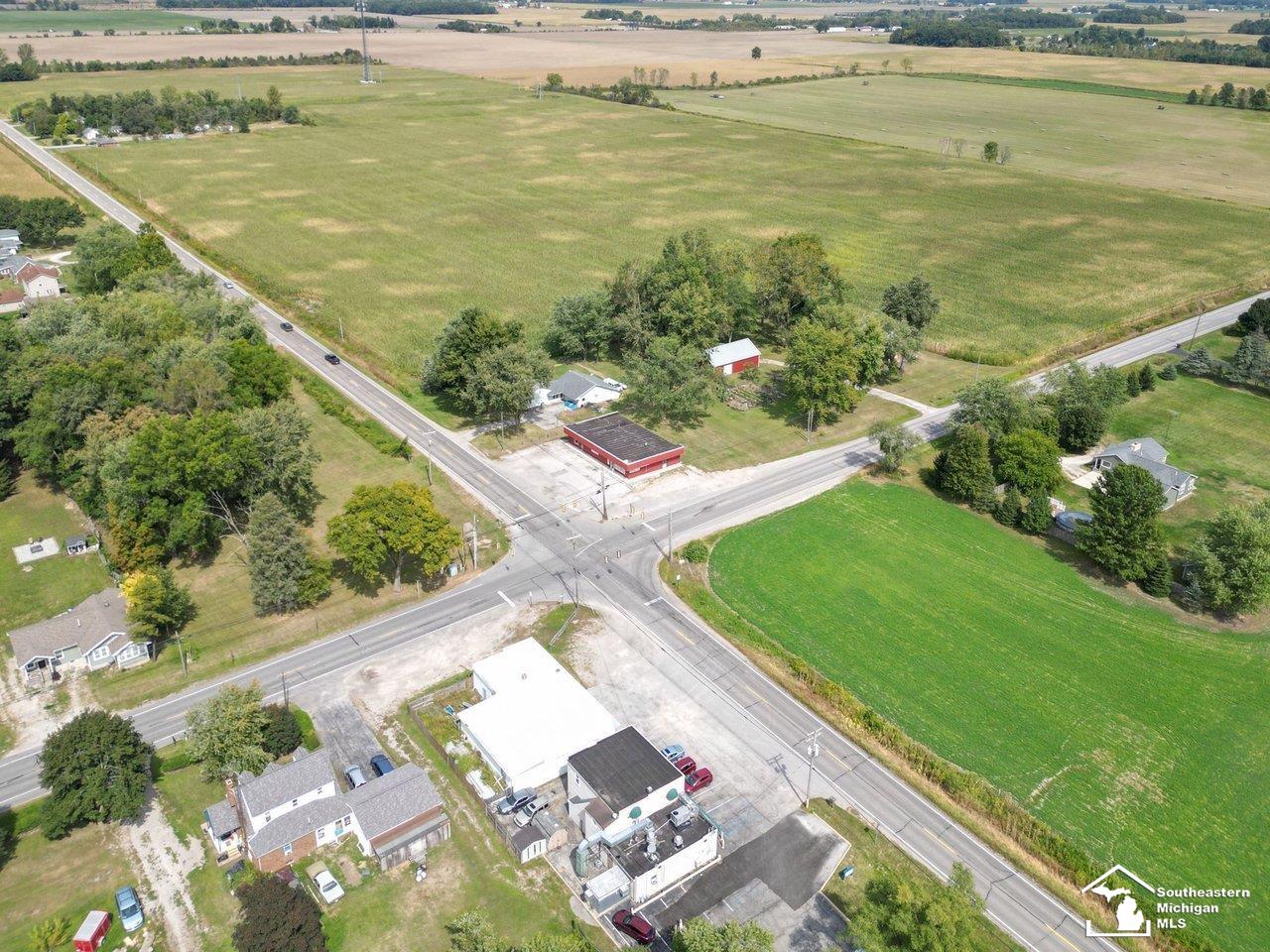 10606 Lewis Avenue Bedford Township MI 48182