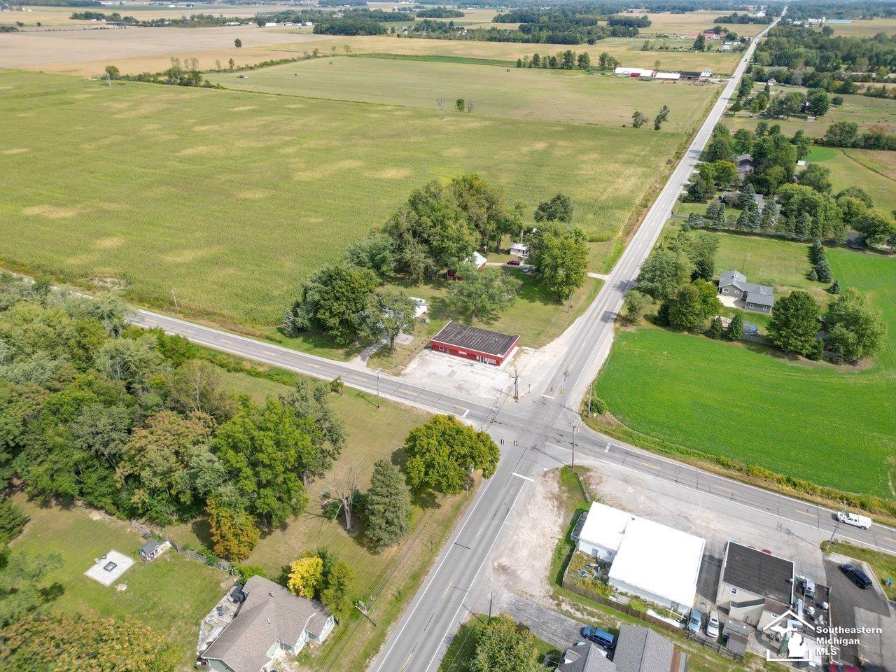 10606 Lewis Avenue Bedford Township MI 48182
