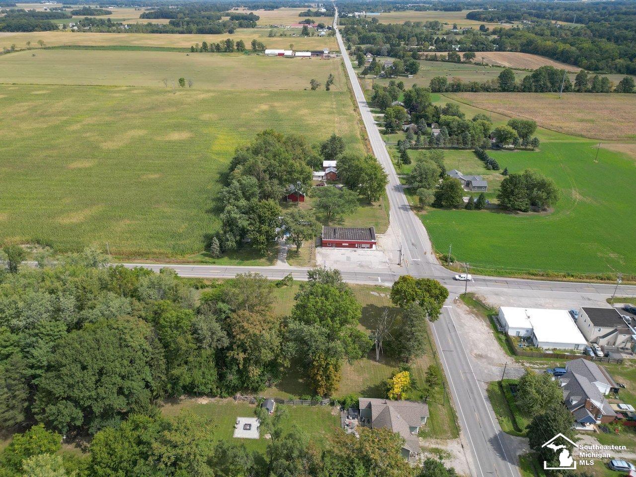 10606 Lewis Avenue Bedford Township MI 48182