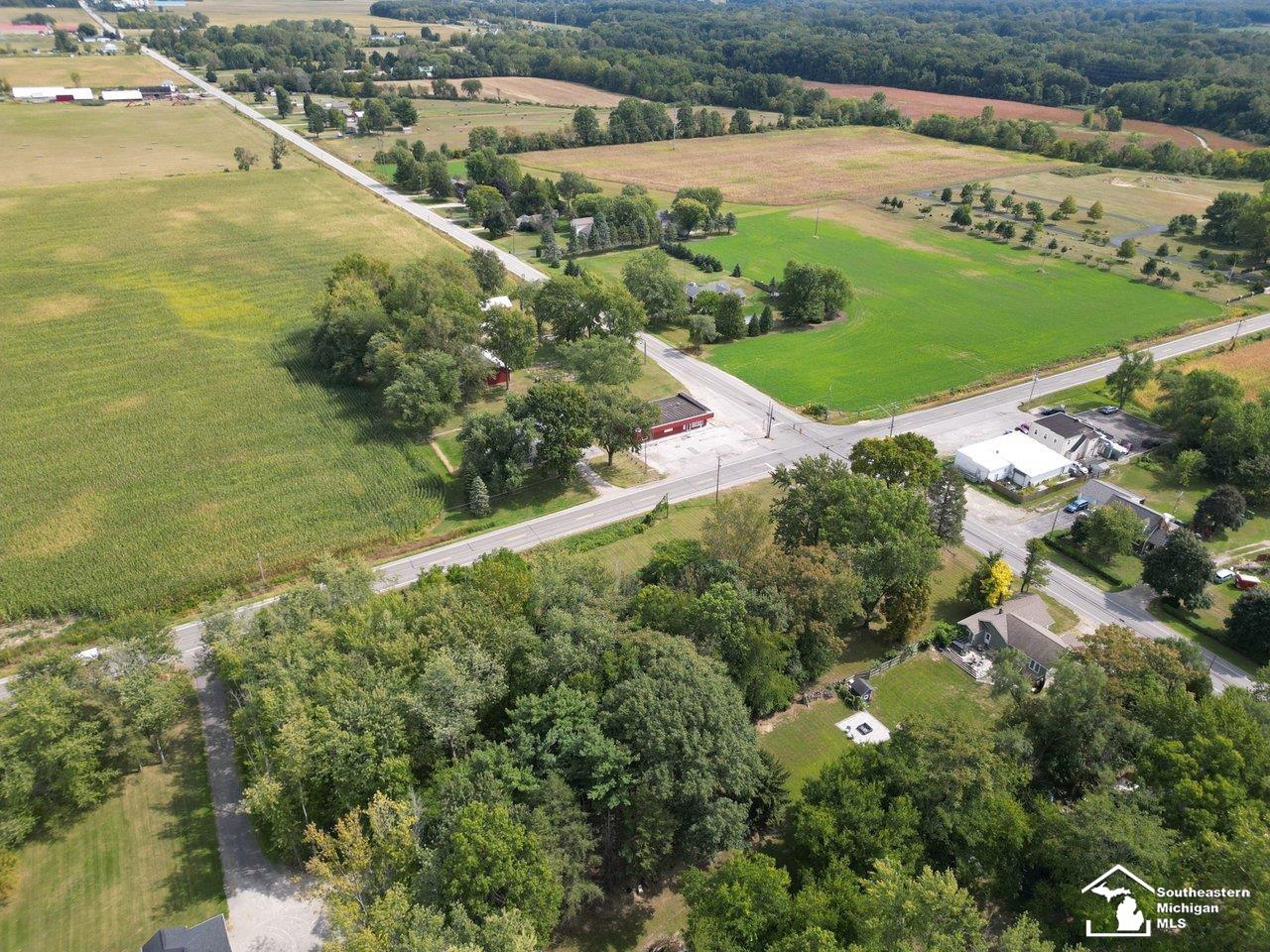 10606 Lewis Avenue Bedford Township MI 48182