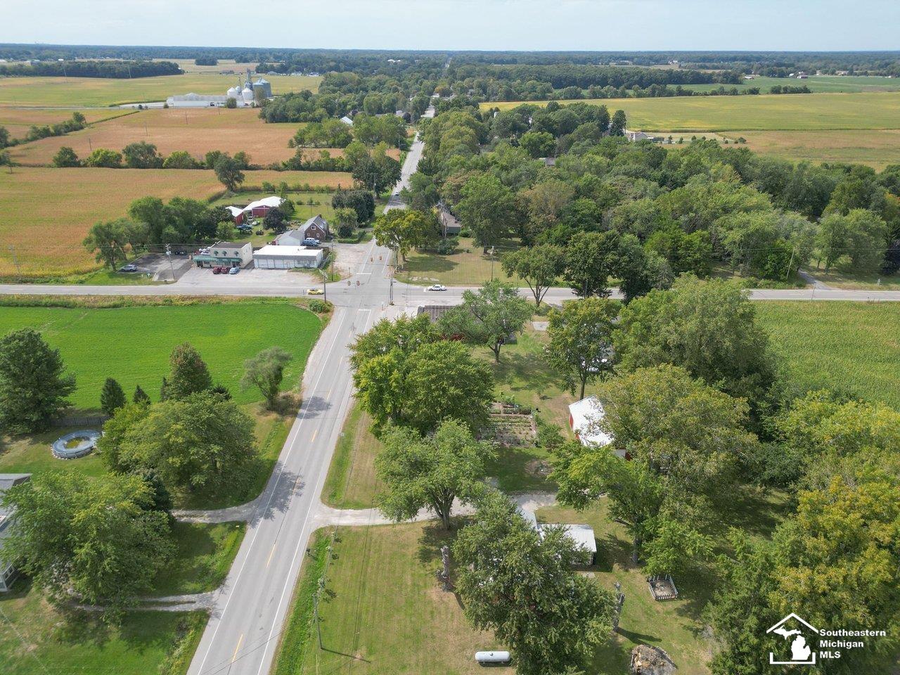 10606 Lewis Avenue Bedford Township MI 48182