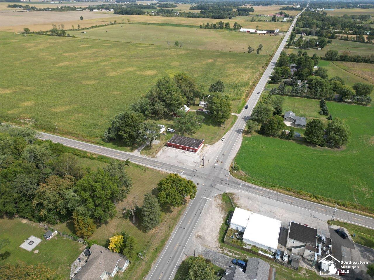10606 Lewis Avenue Bedford Township MI 48182