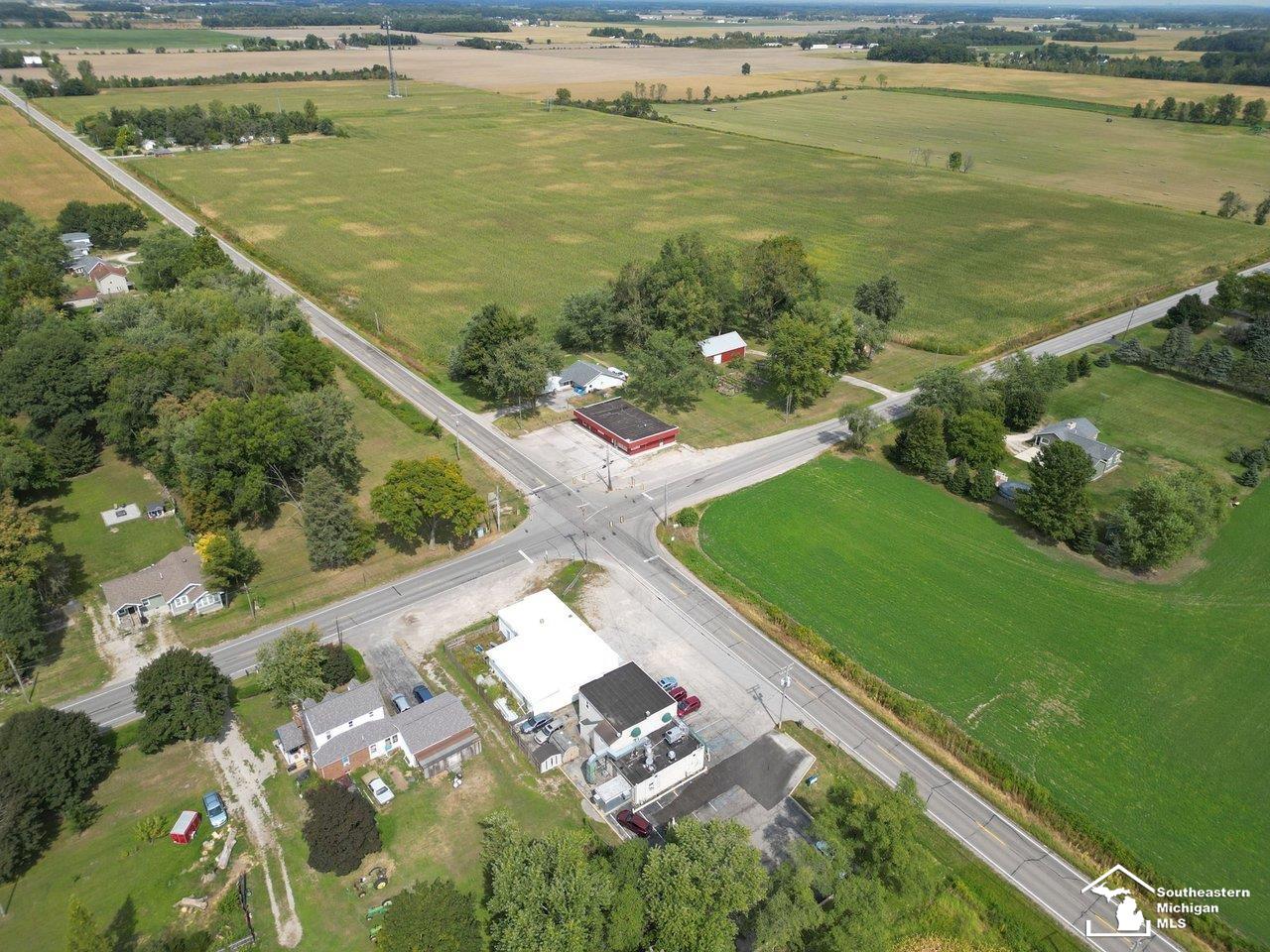 10606 Lewis Avenue Bedford Township MI 48182