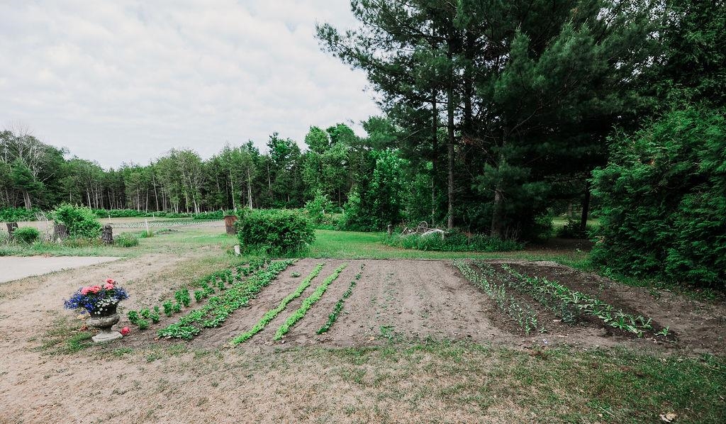 11184 N Mill Street Leelanau Township MI 49670
