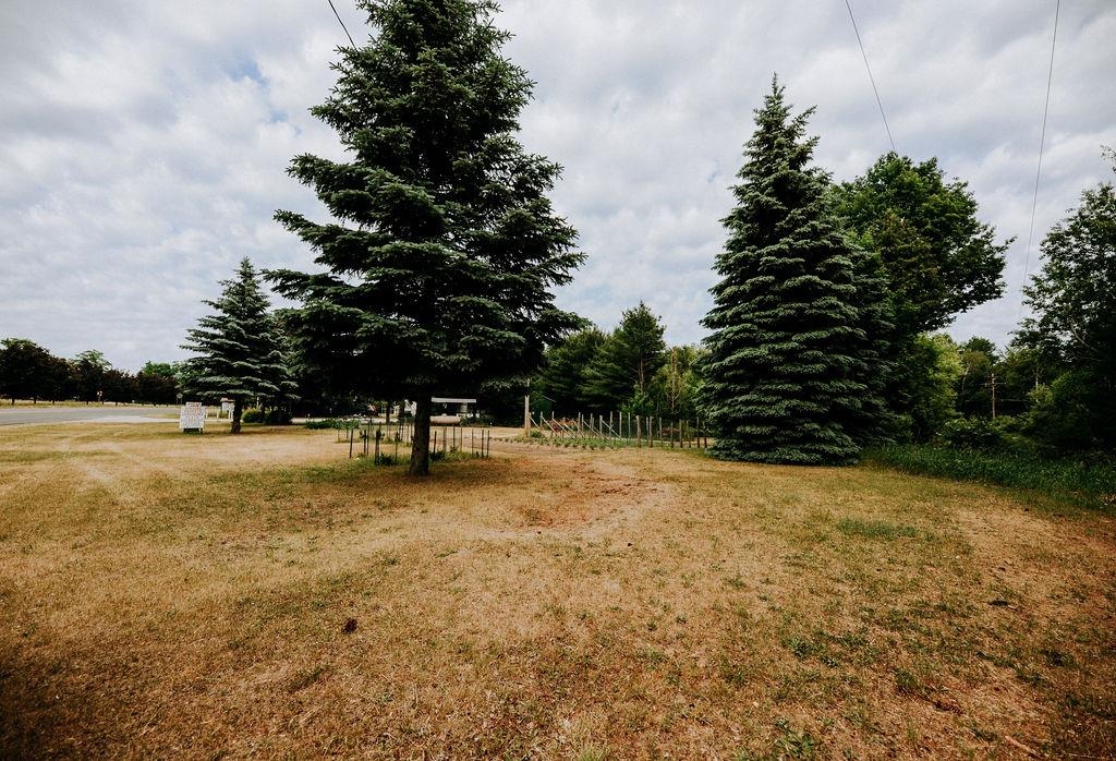 11184 N Mill Street Leelanau Township MI 49670