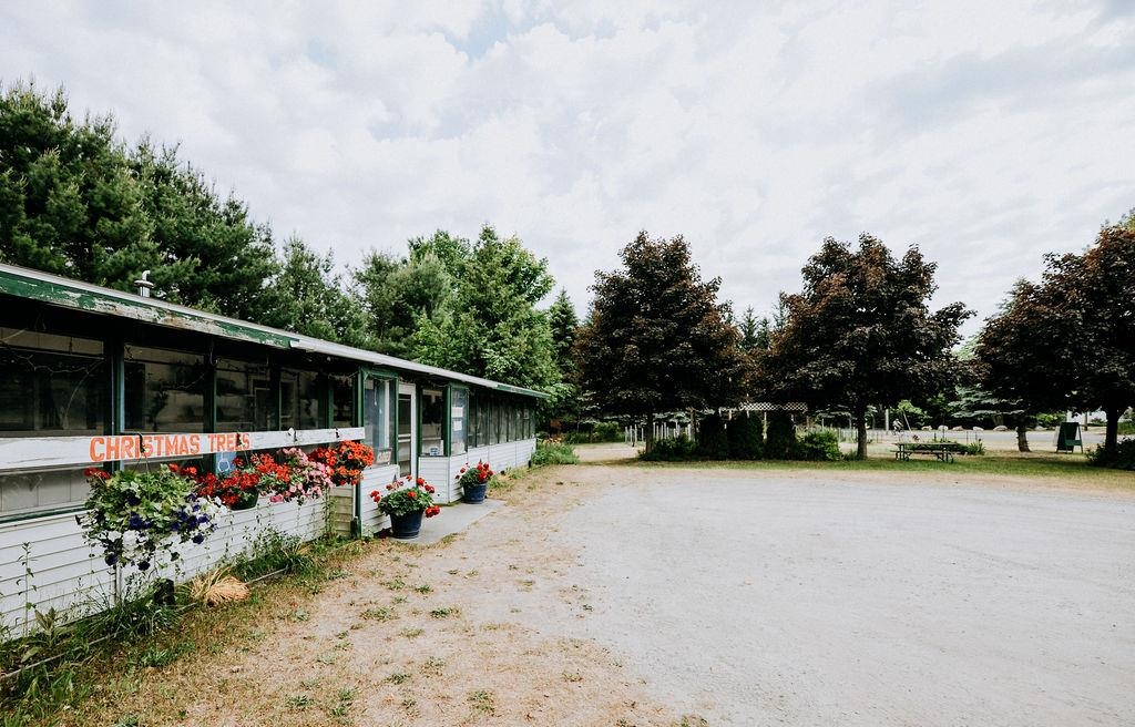 11184 N Mill Street Leelanau Township MI 49670