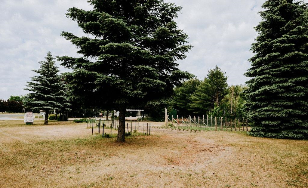 11184 N Mill Street Leelanau Township MI 49670