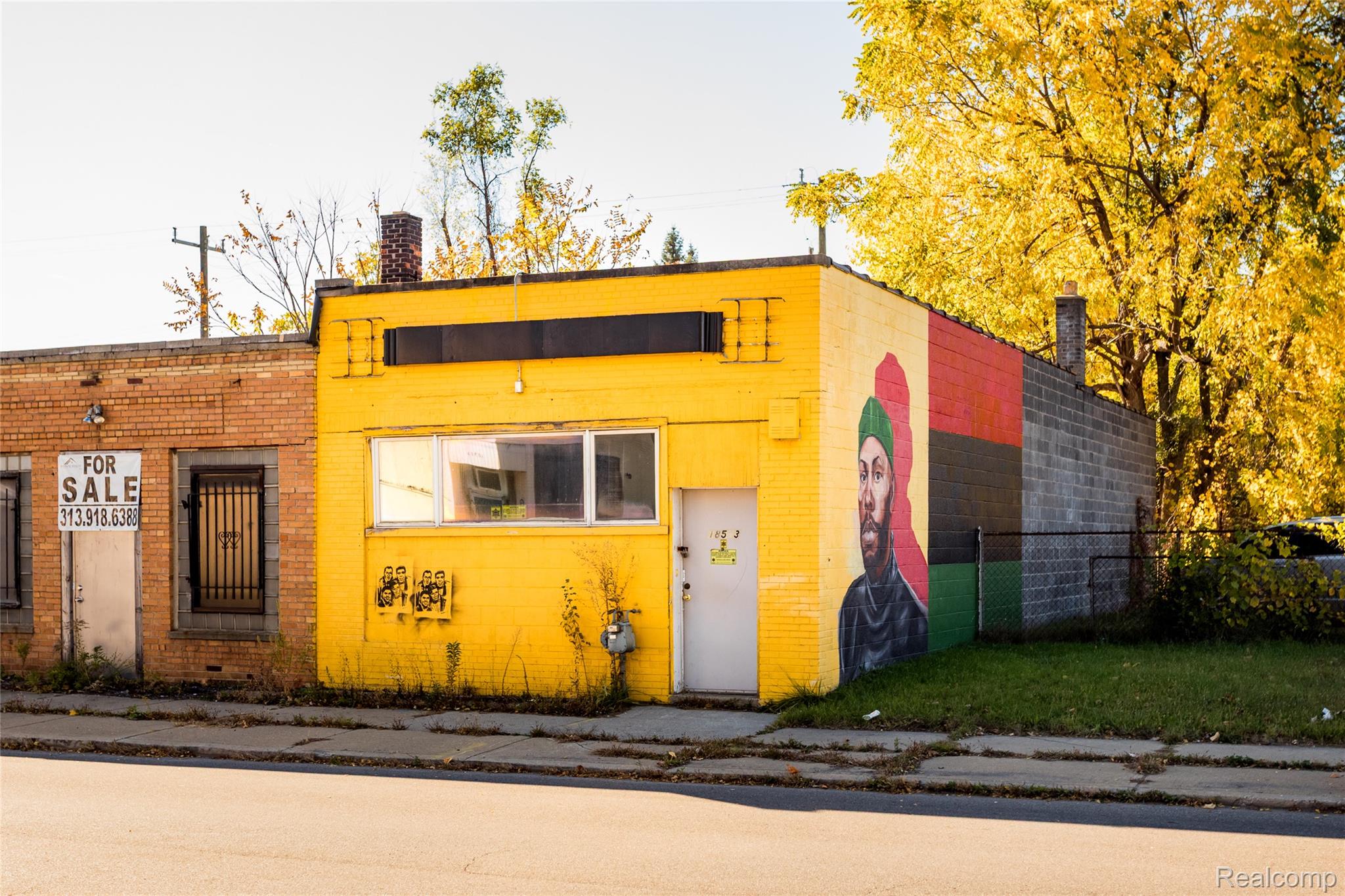 18563 Ryan Road Detroit City MI 48234