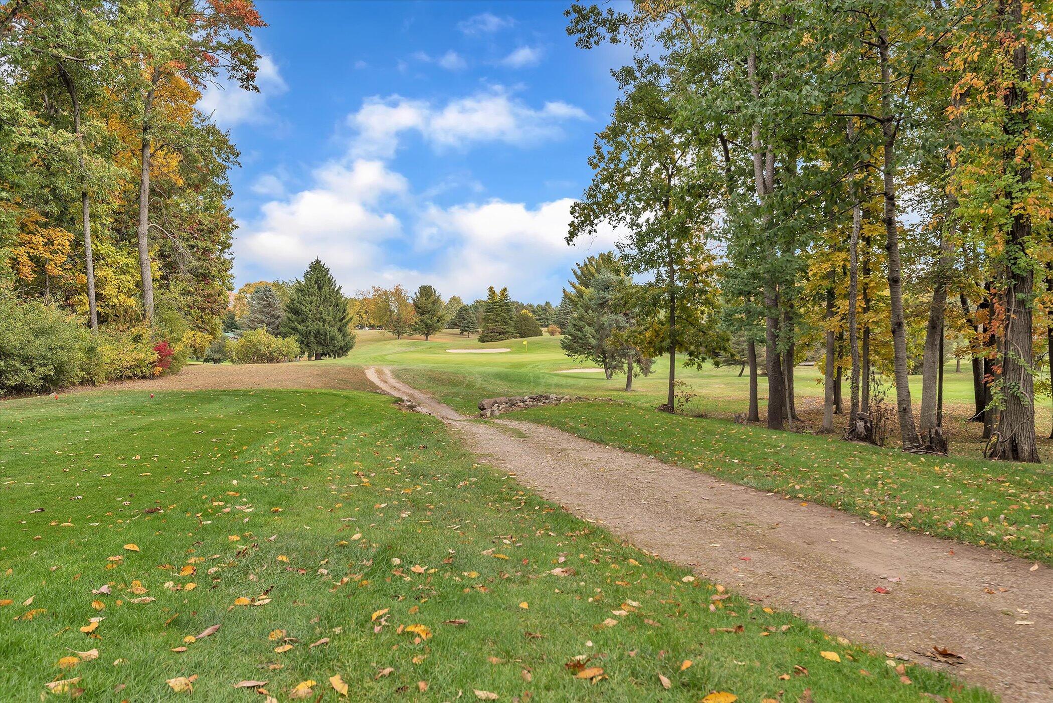 5751 Brooklyn Road Napoleon Township MI 49201