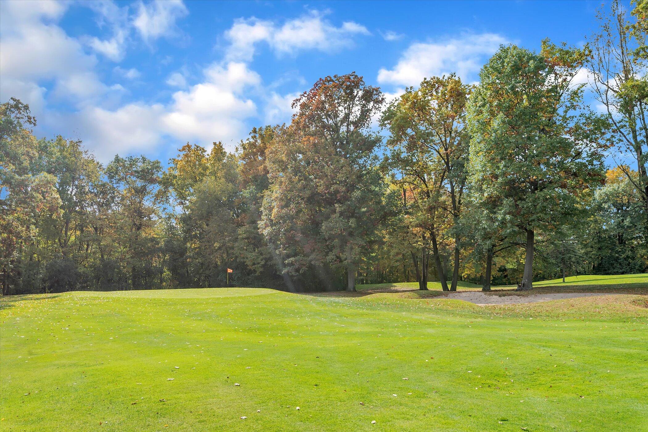 5751 Brooklyn Road Napoleon Township MI 49201