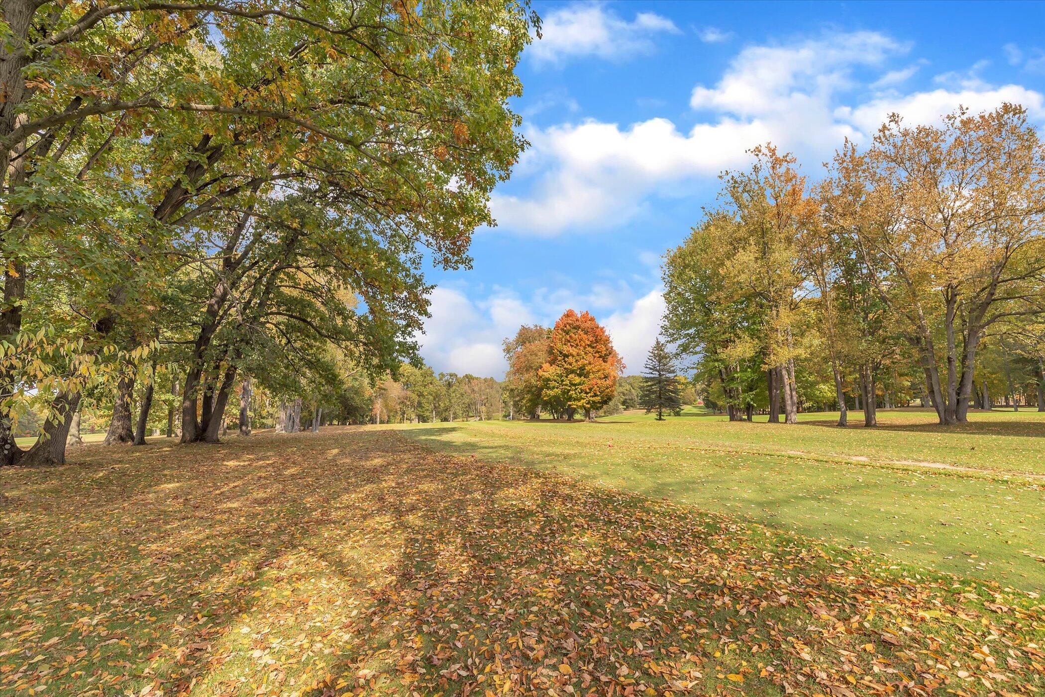5751 Brooklyn Road Napoleon Township MI 49201