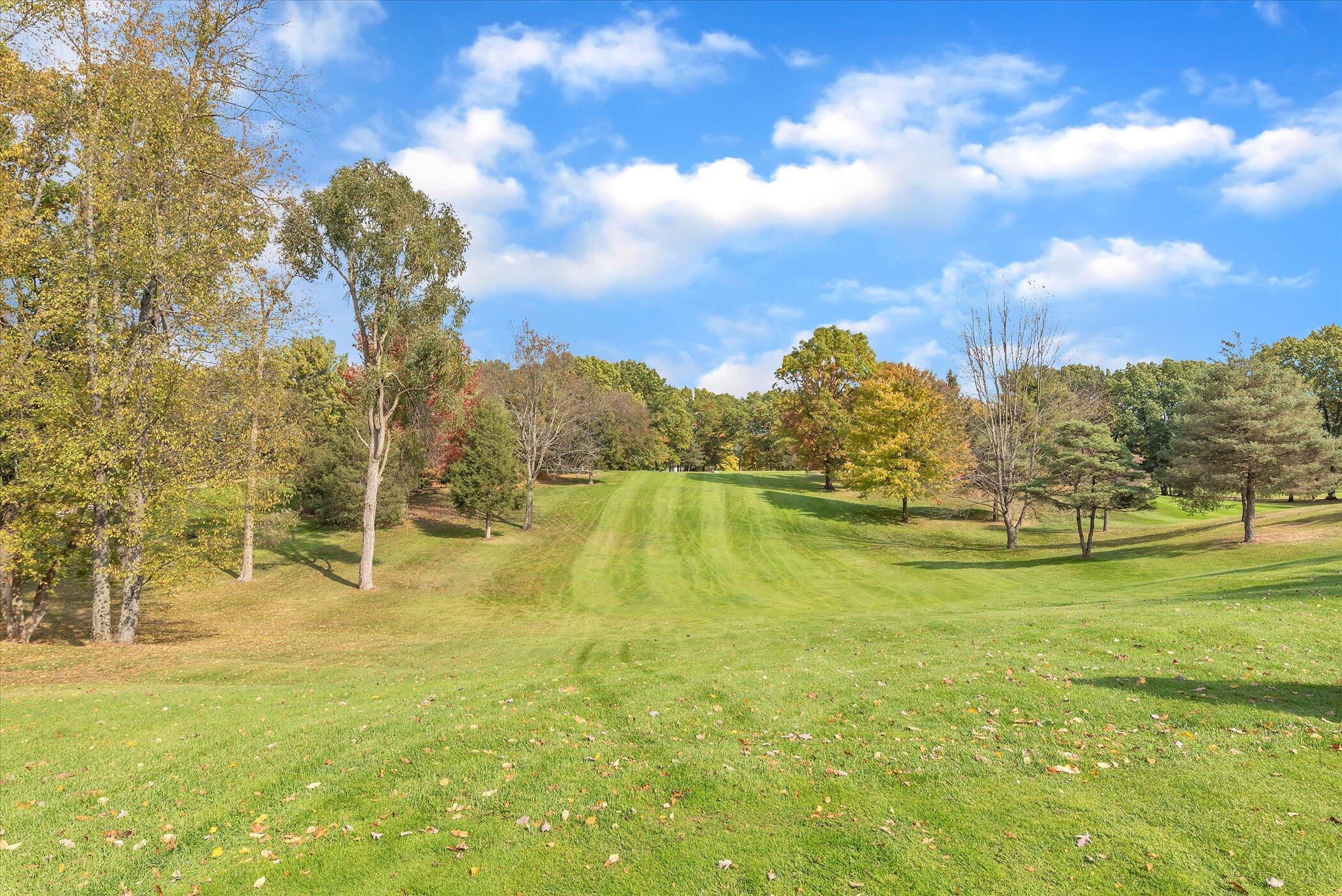 5751 Brooklyn Road Napoleon Township MI 49201