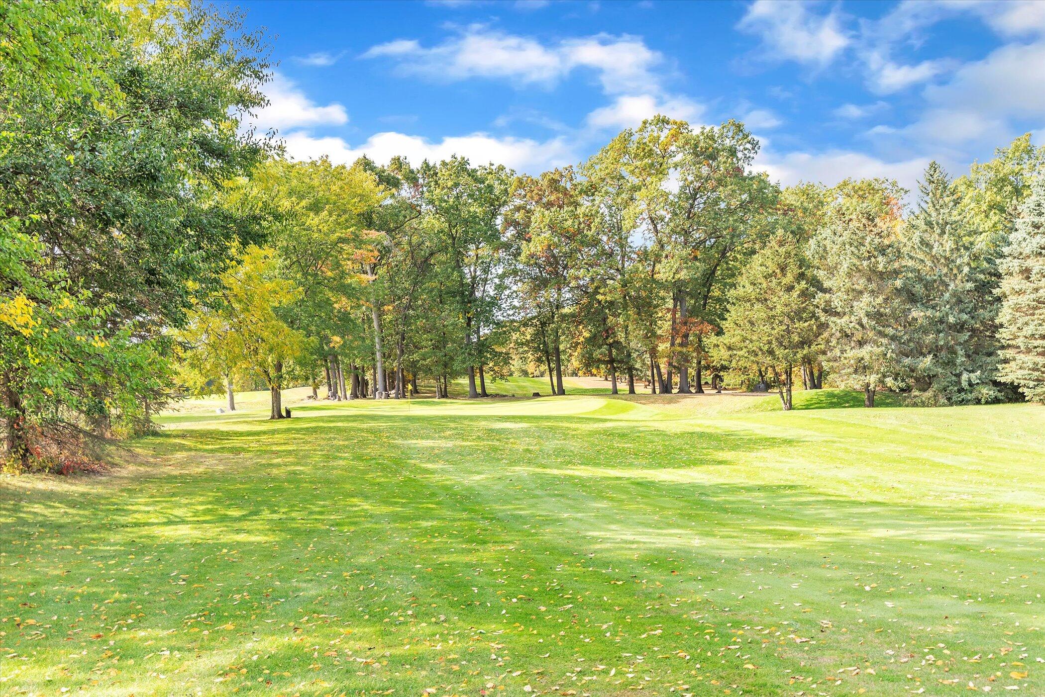 5751 Brooklyn Road Napoleon Township MI 49201