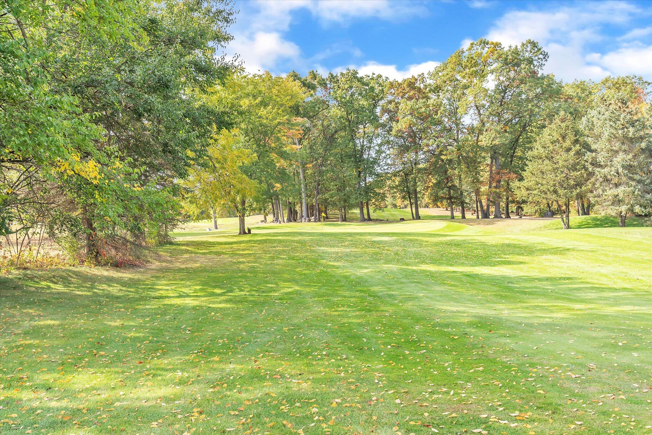 5751 Brooklyn Road Napoleon Township MI 49201