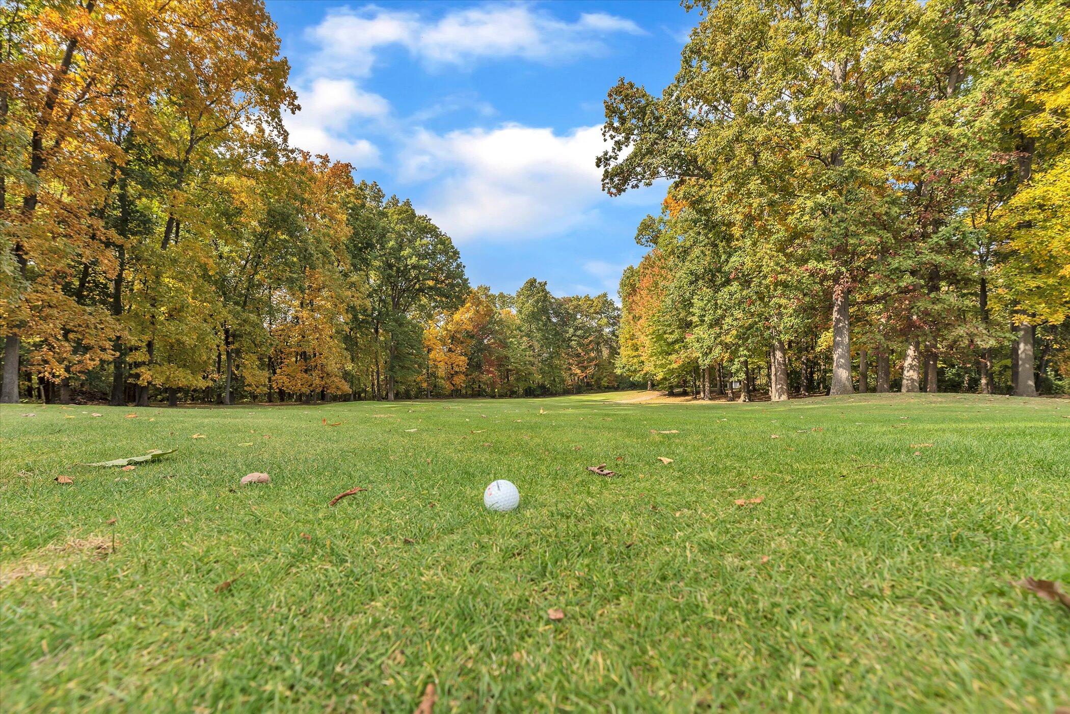 5751 Brooklyn Road Napoleon Township MI 49201