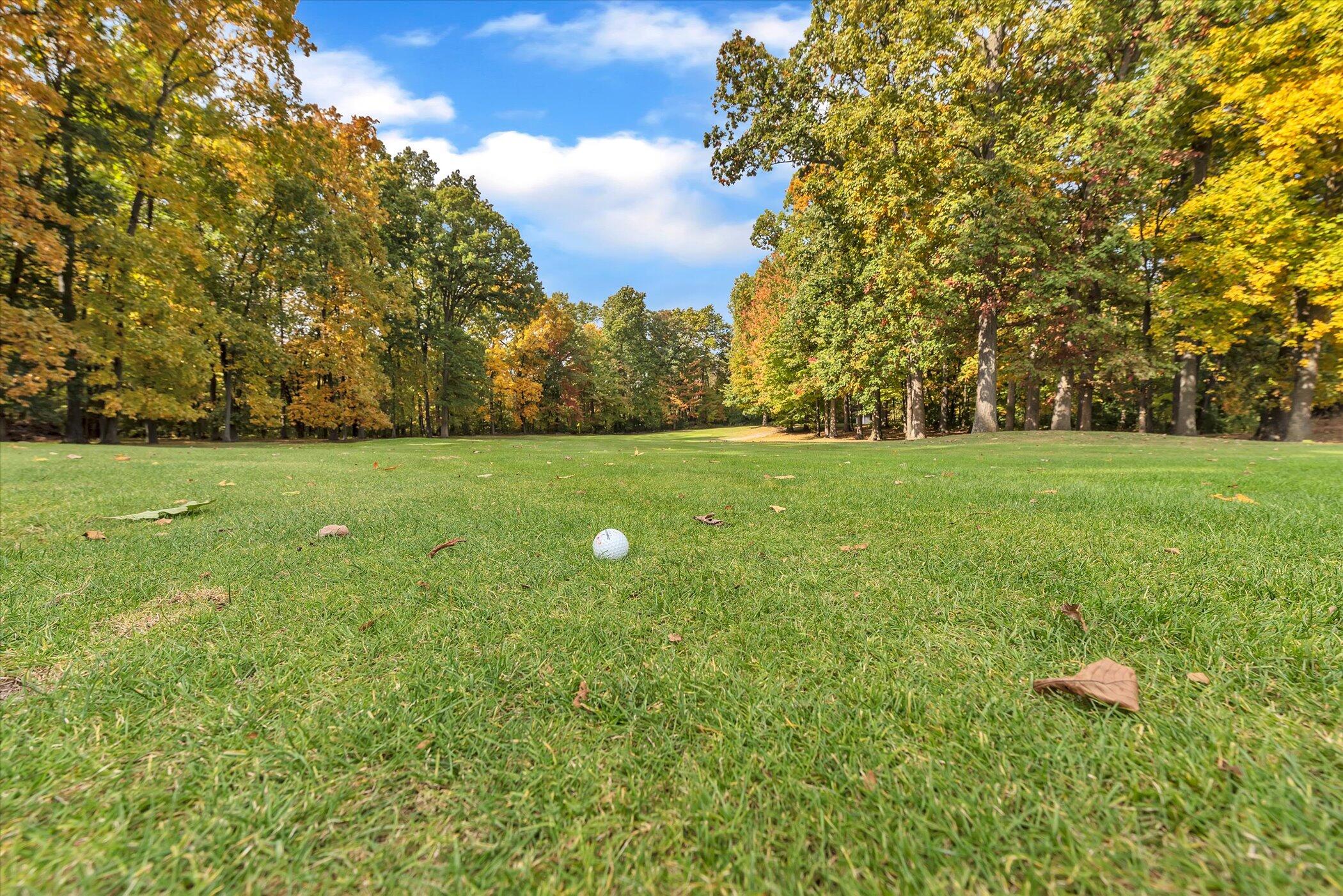 5751 Brooklyn Road Napoleon Township MI 49201