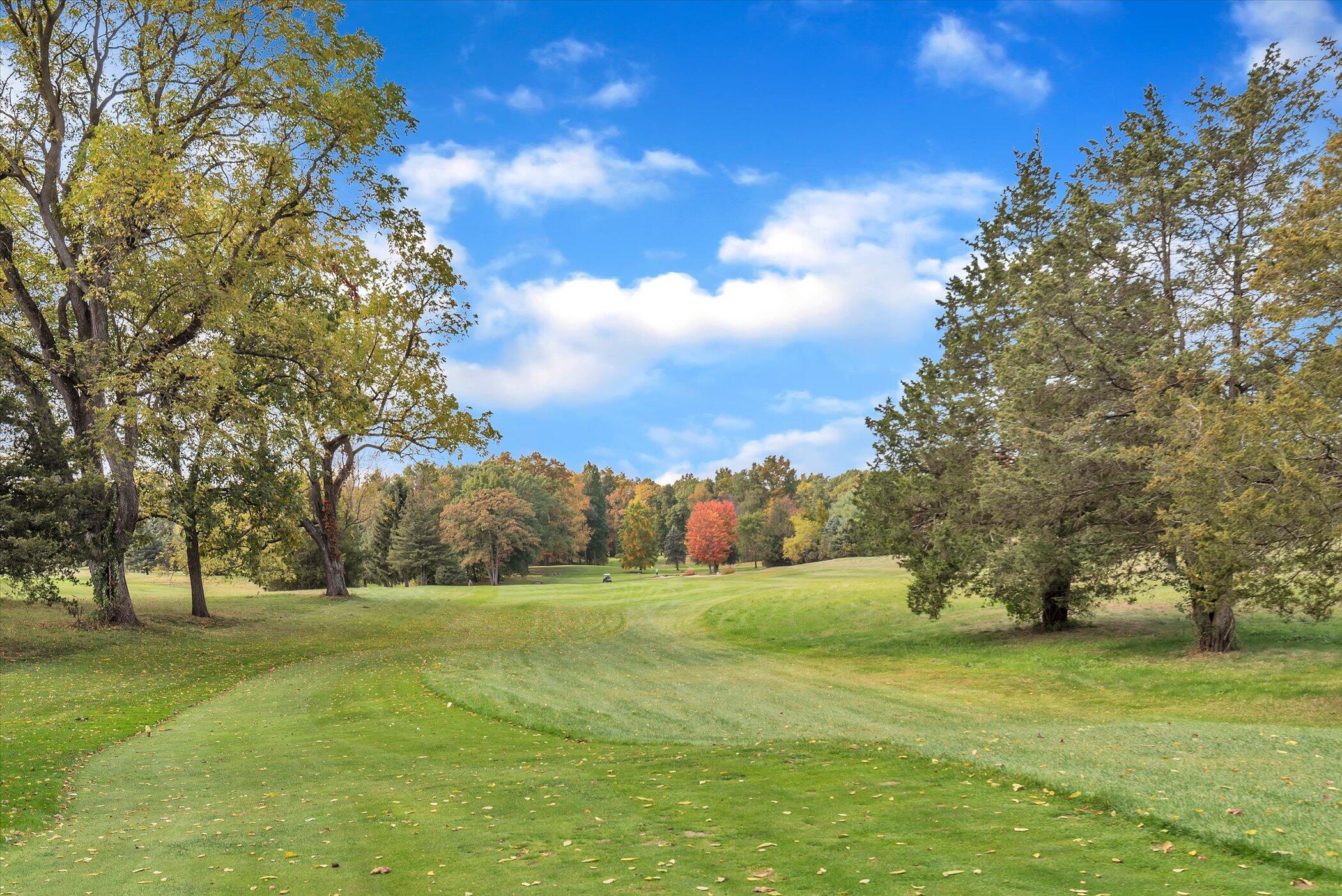 5751 Brooklyn Road Napoleon Township MI 49201