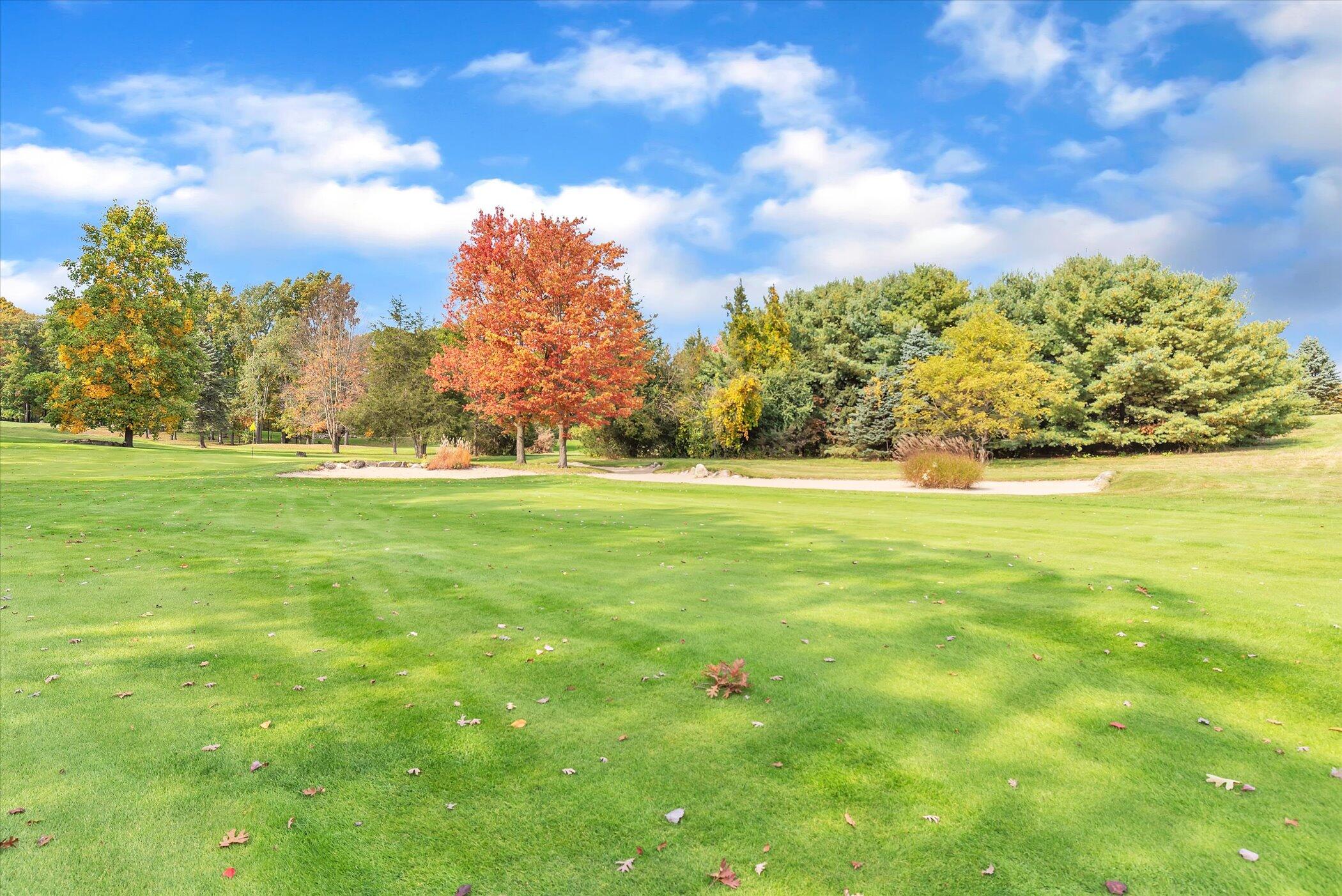 5751 Brooklyn Road Napoleon Township MI 49201