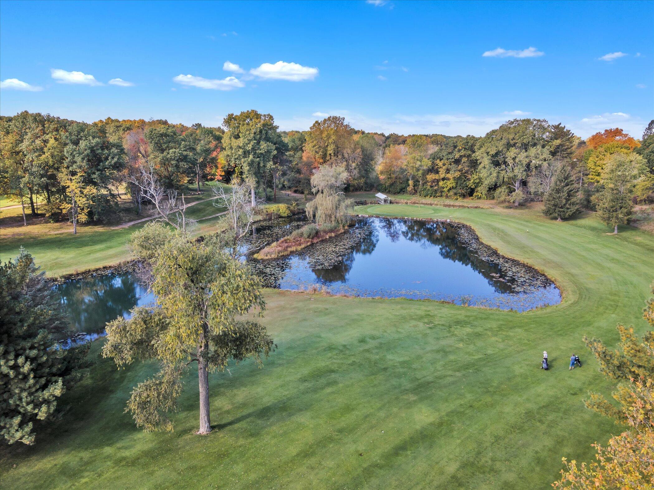 5751 Brooklyn Road Napoleon Township MI 49201