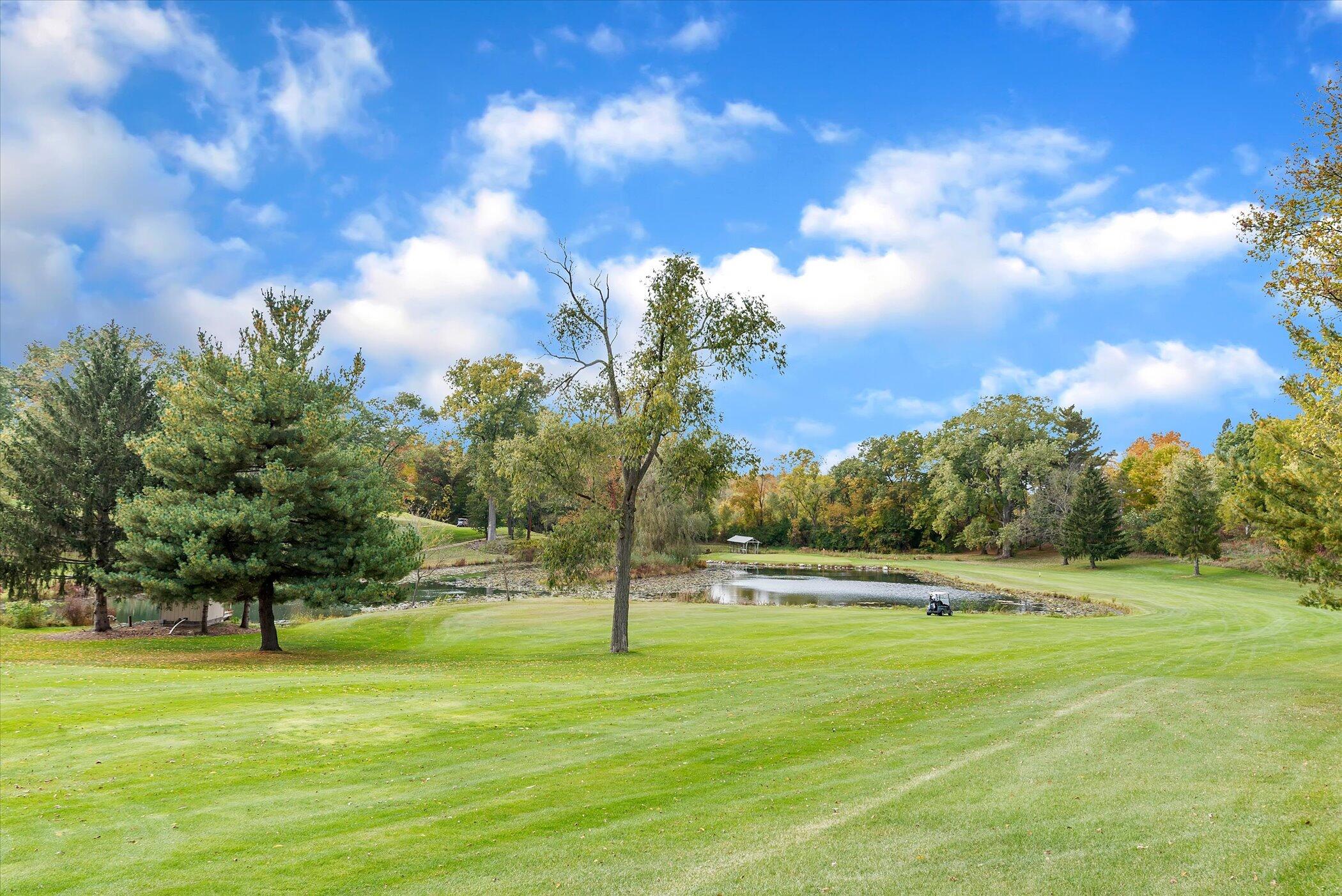 5751 Brooklyn Road Napoleon Township MI 49201