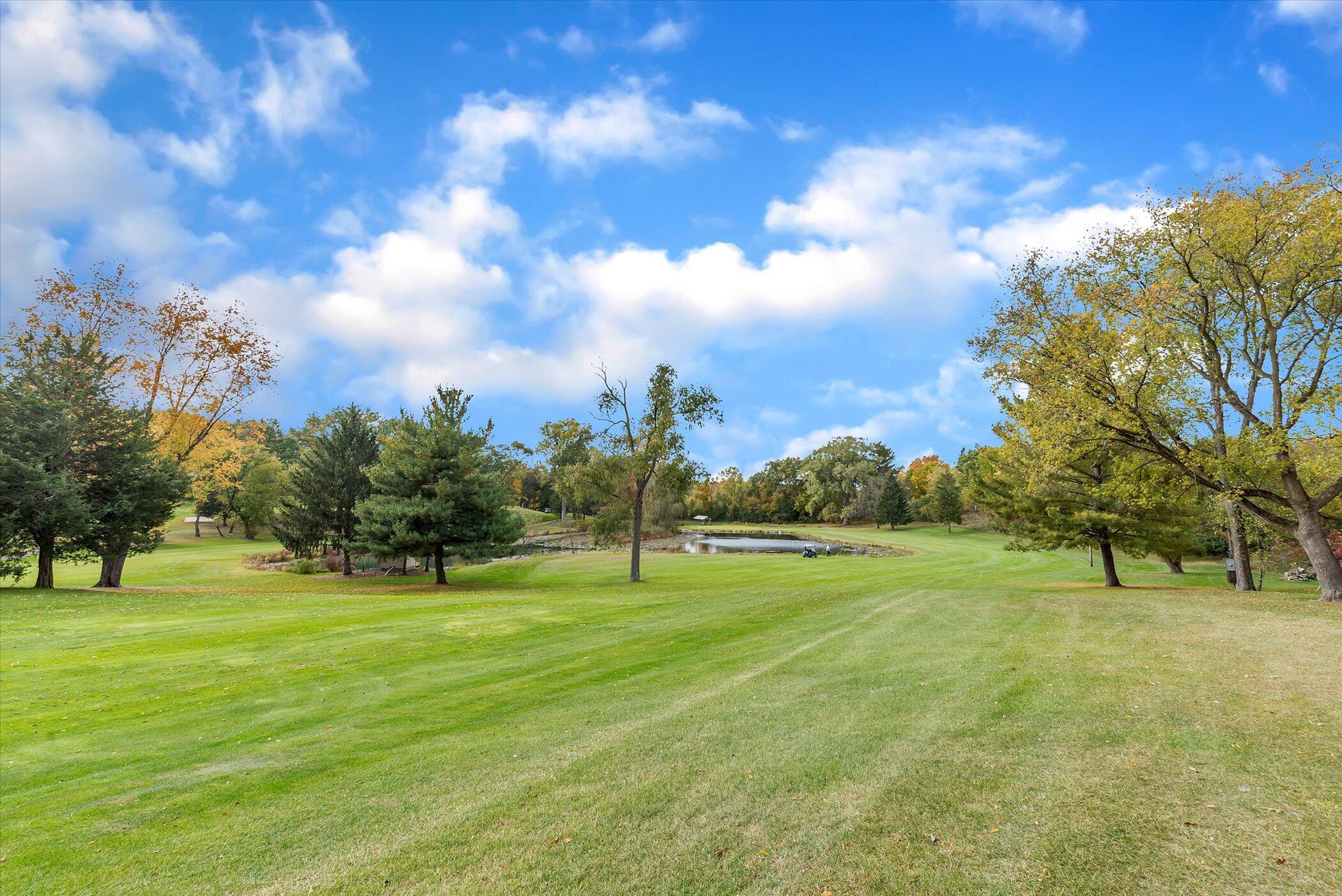 5751 Brooklyn Road Napoleon Township MI 49201