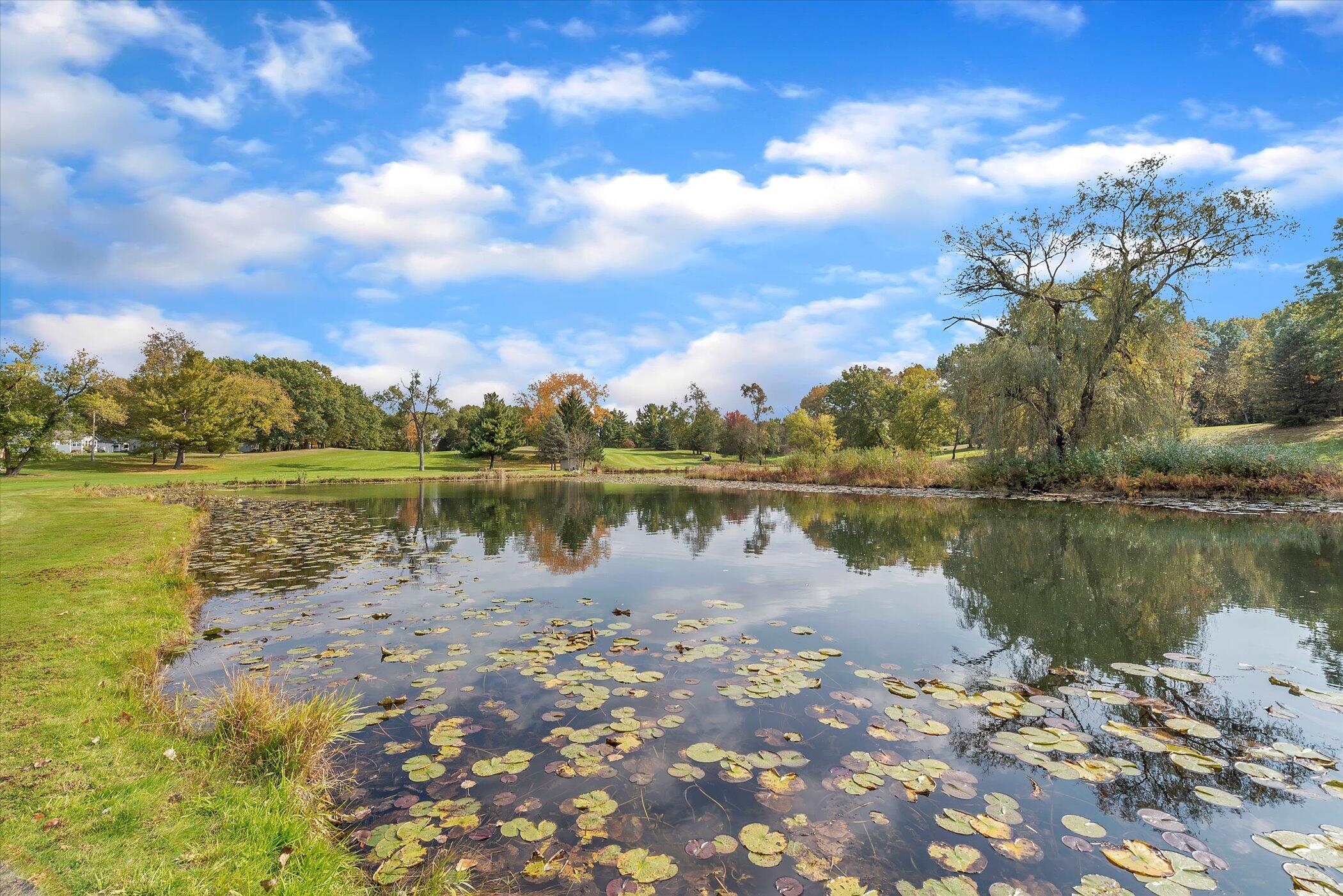 5751 Brooklyn Road Napoleon Township MI 49201