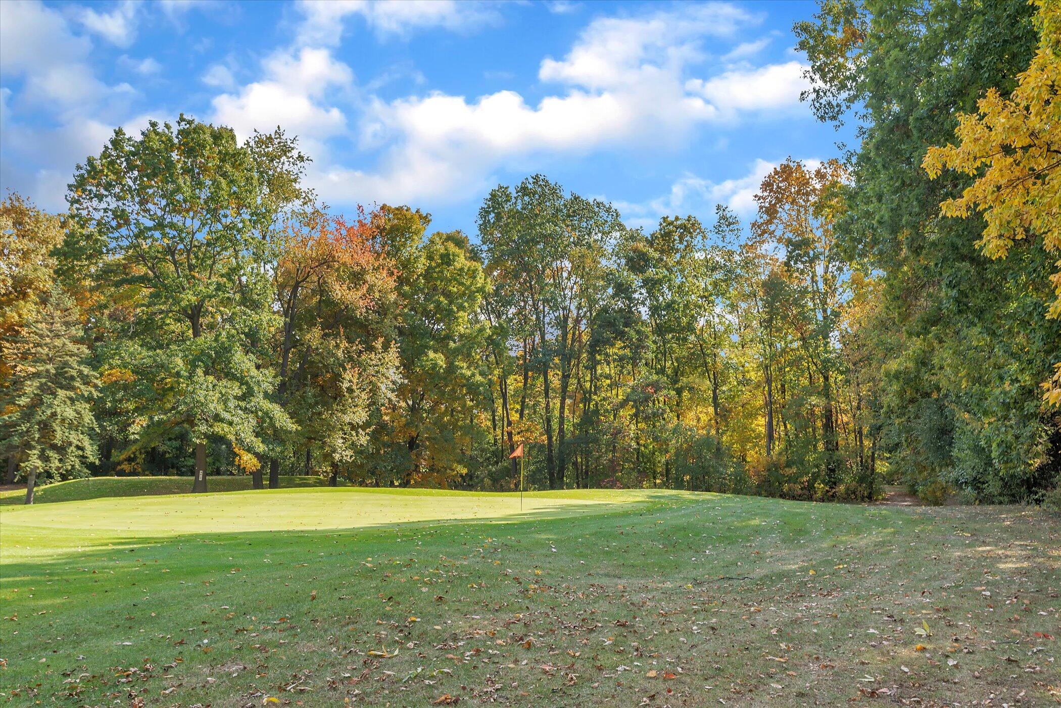 5751 Brooklyn Road Napoleon Township MI 49201