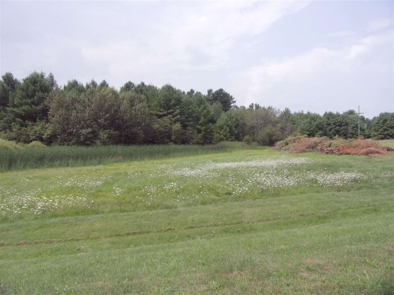 Fox Run Road West Branch Township MI 48661