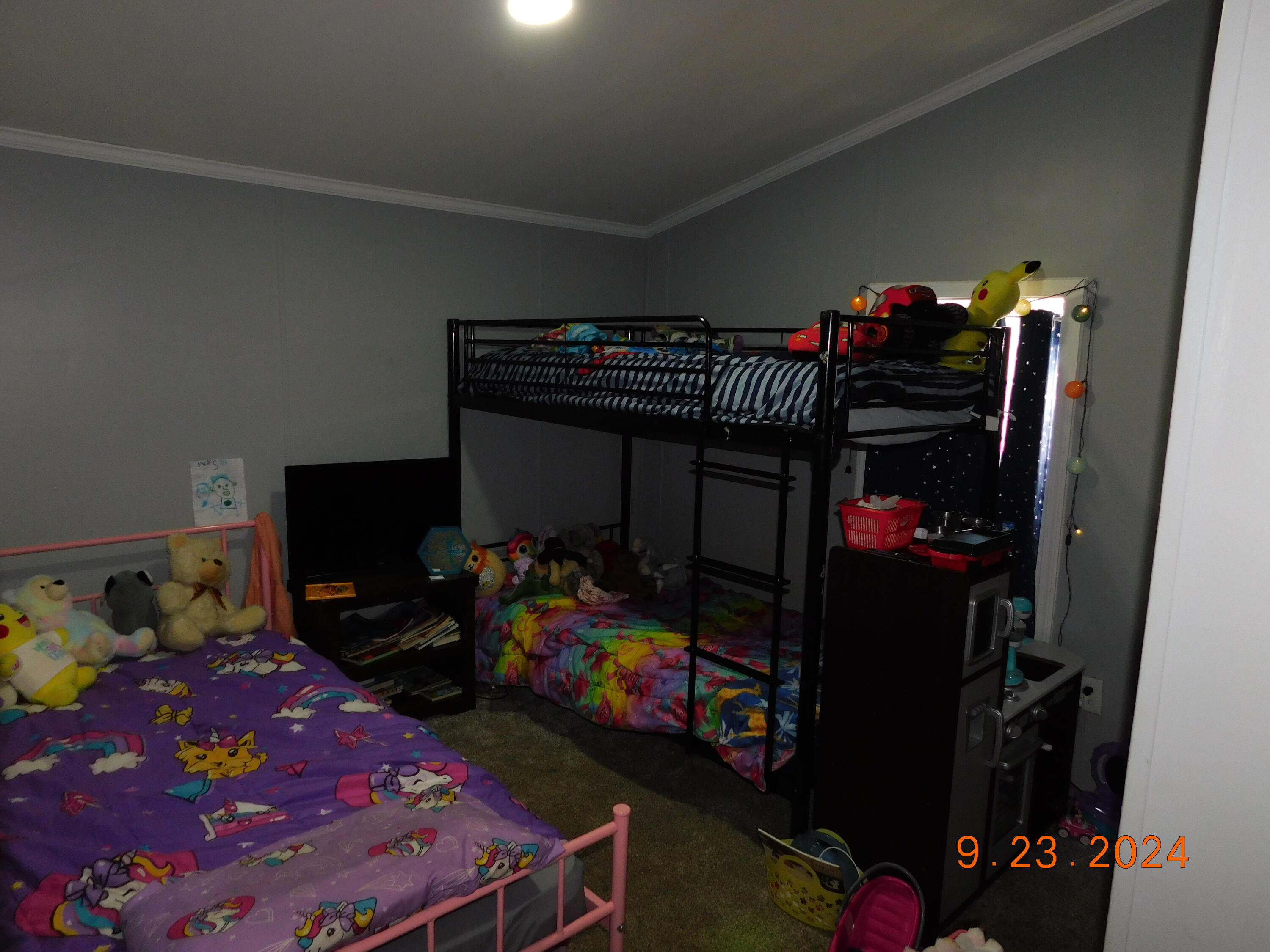 9567 Chippewa Highway Bear Lake Township MI 49614