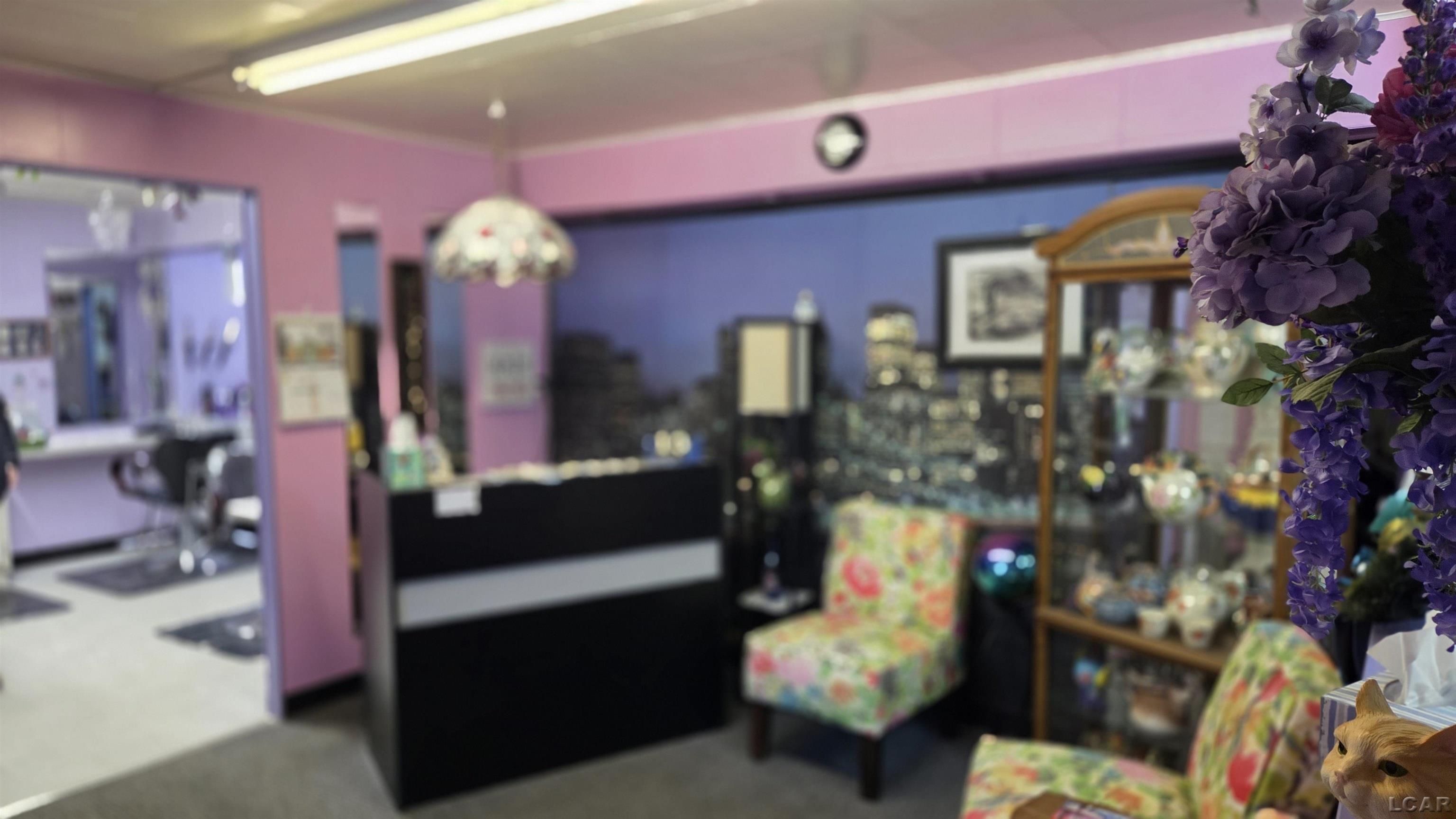 409 N Evans Street Tecumseh City MI 49286