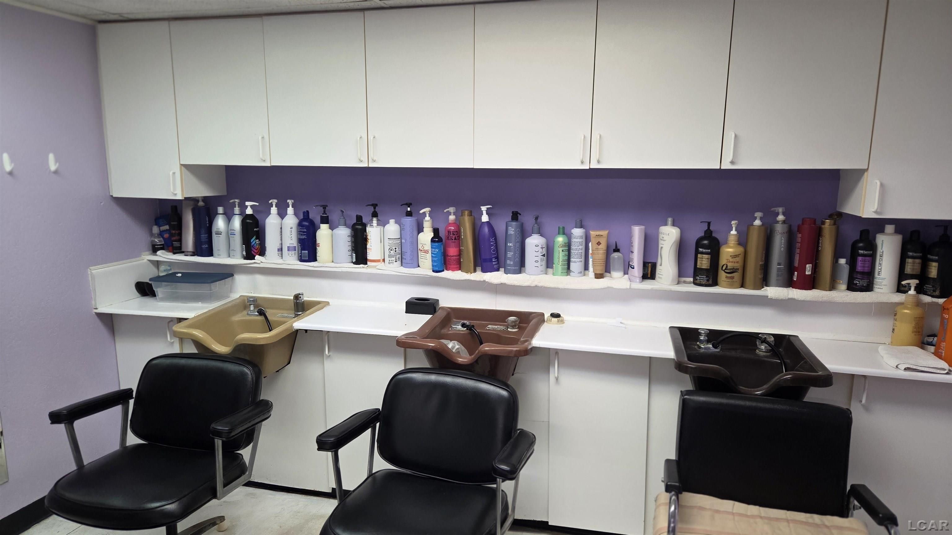 409 N Evans Street Tecumseh City MI 49286