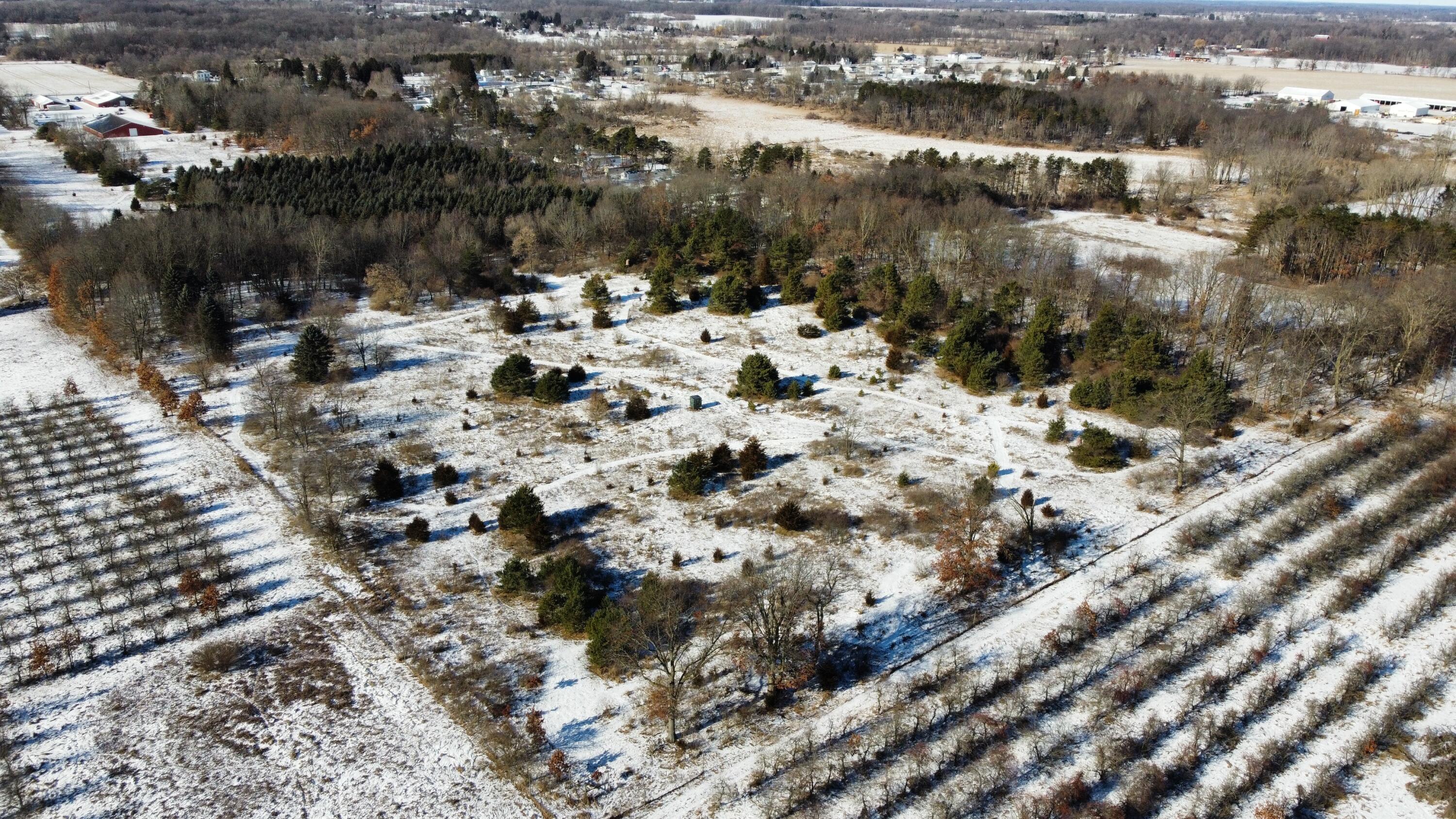 Ionia Township MI 48846