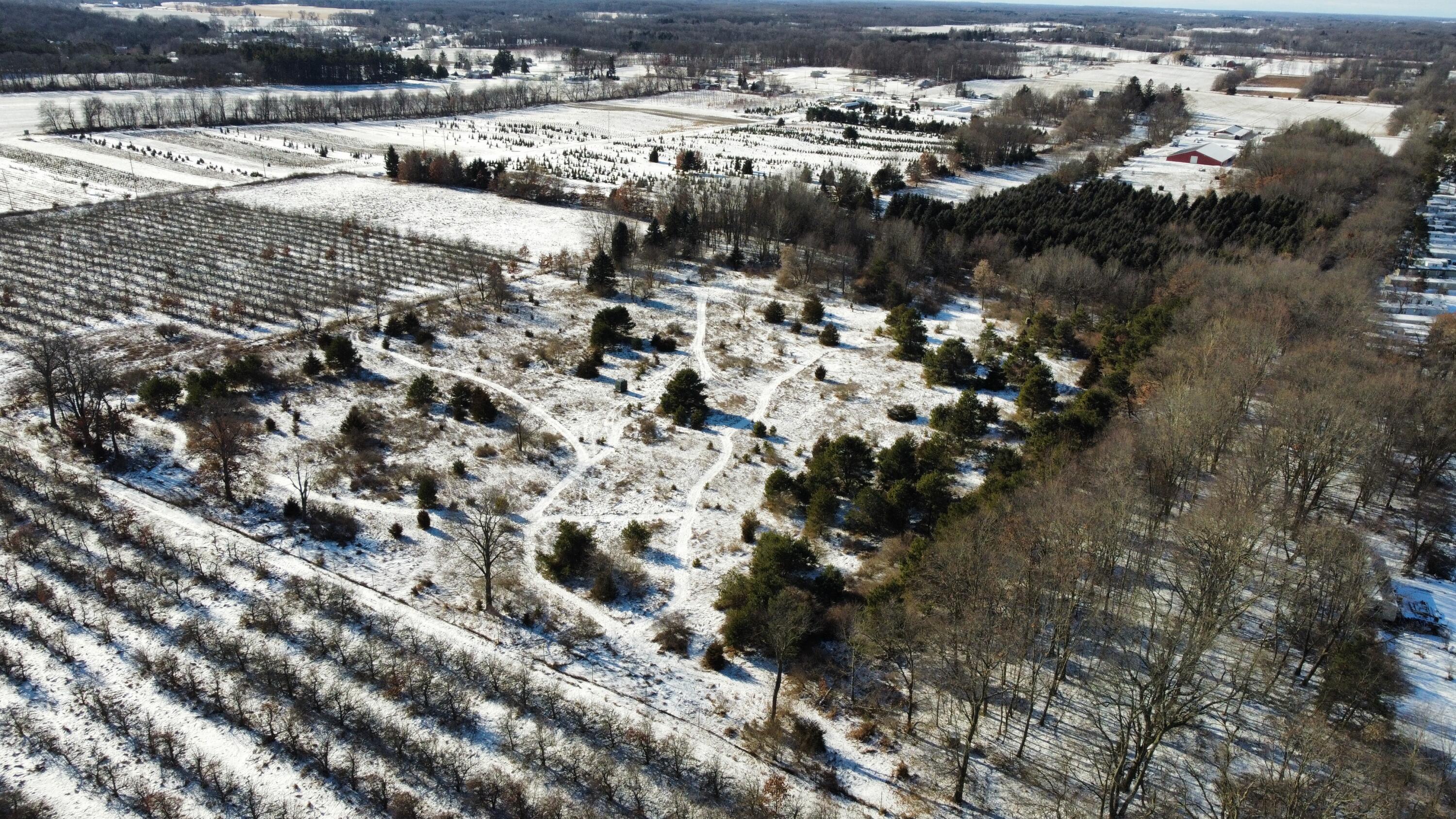 Ionia Township MI 48846