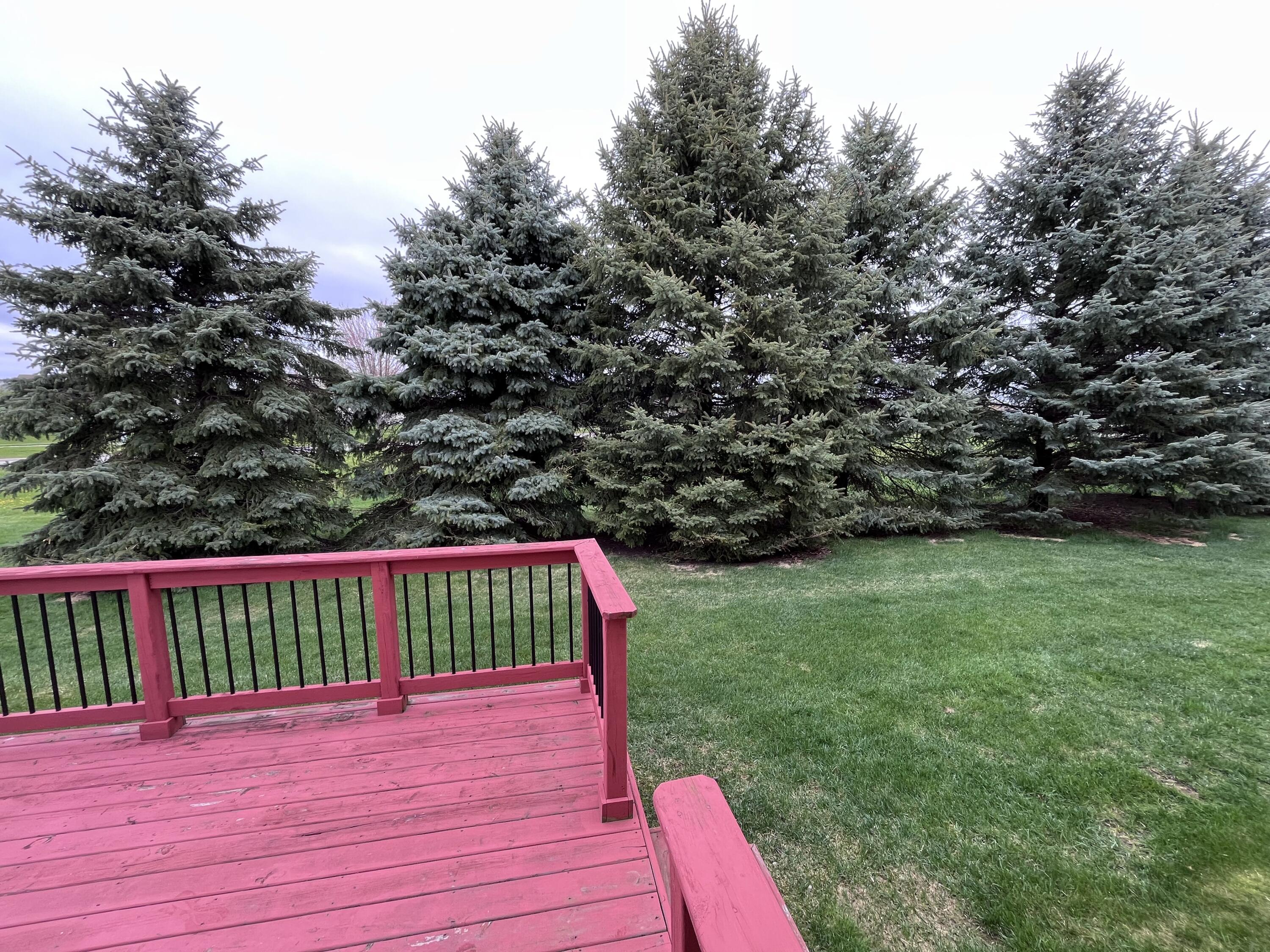 1637 Chippewa Way Mt. Pleasant City MI 48858