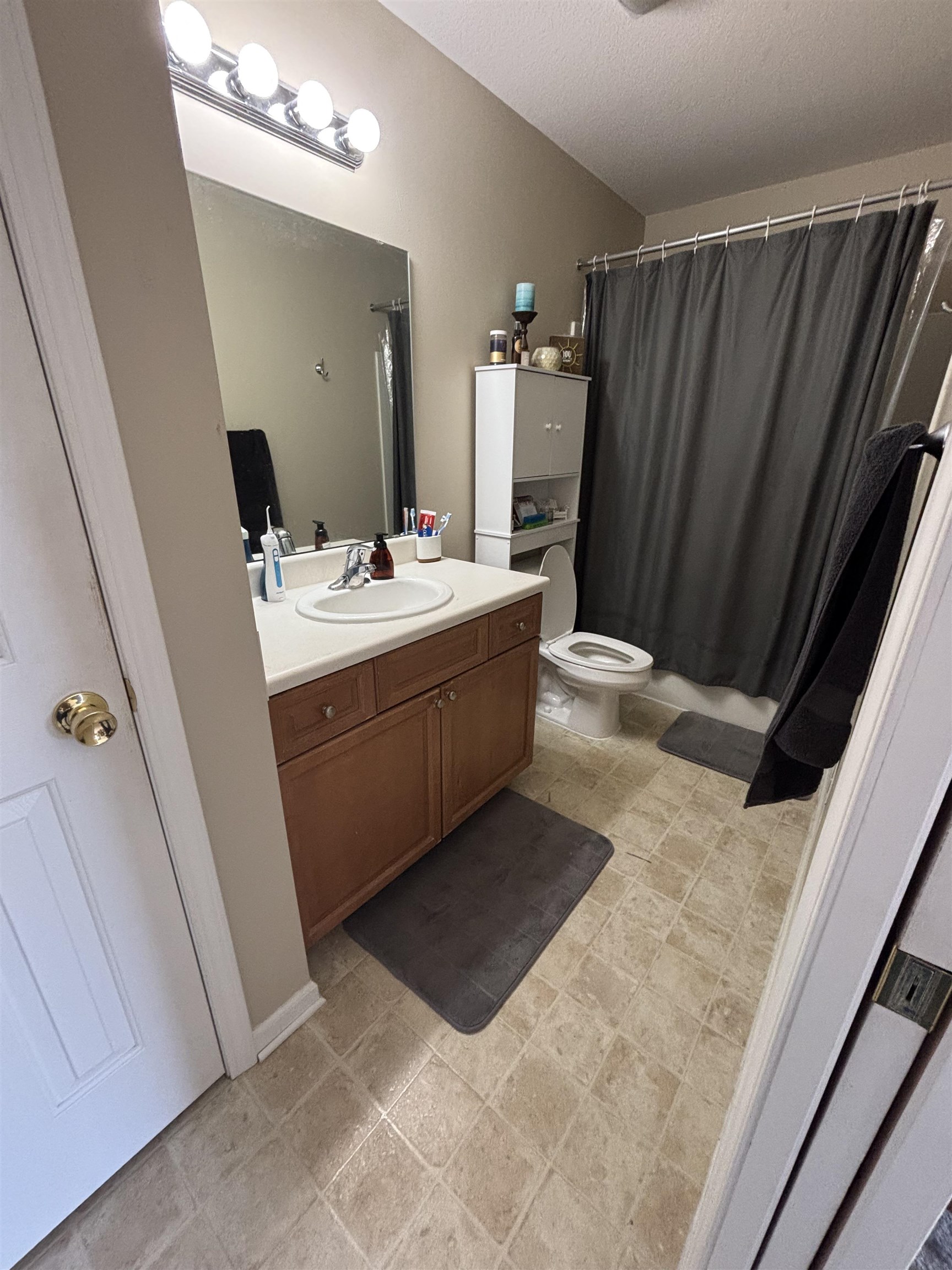 1639 Chippewa Way Mt. Pleasant City MI 48858