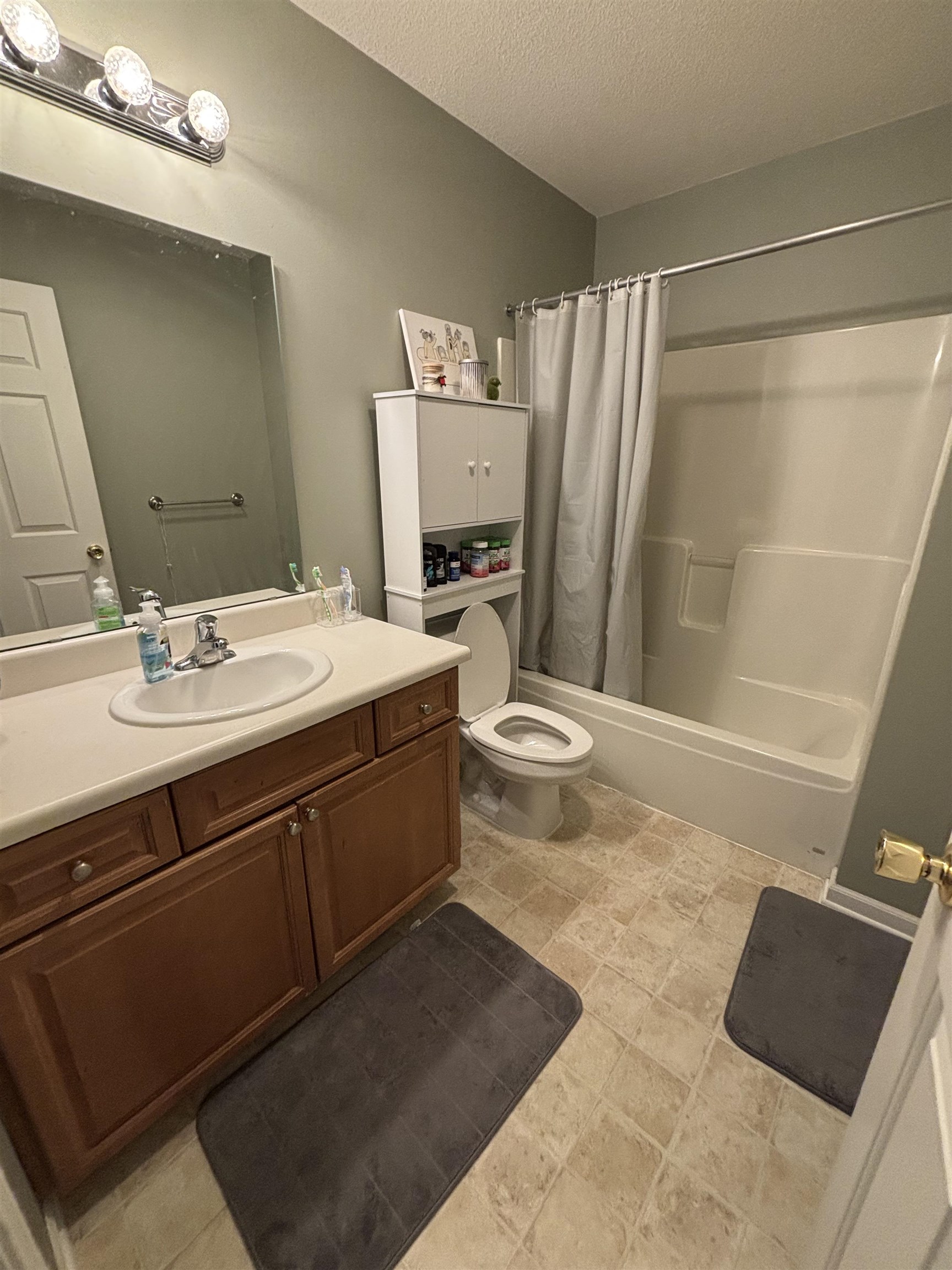 1639 Chippewa Way Mt. Pleasant City MI 48858
