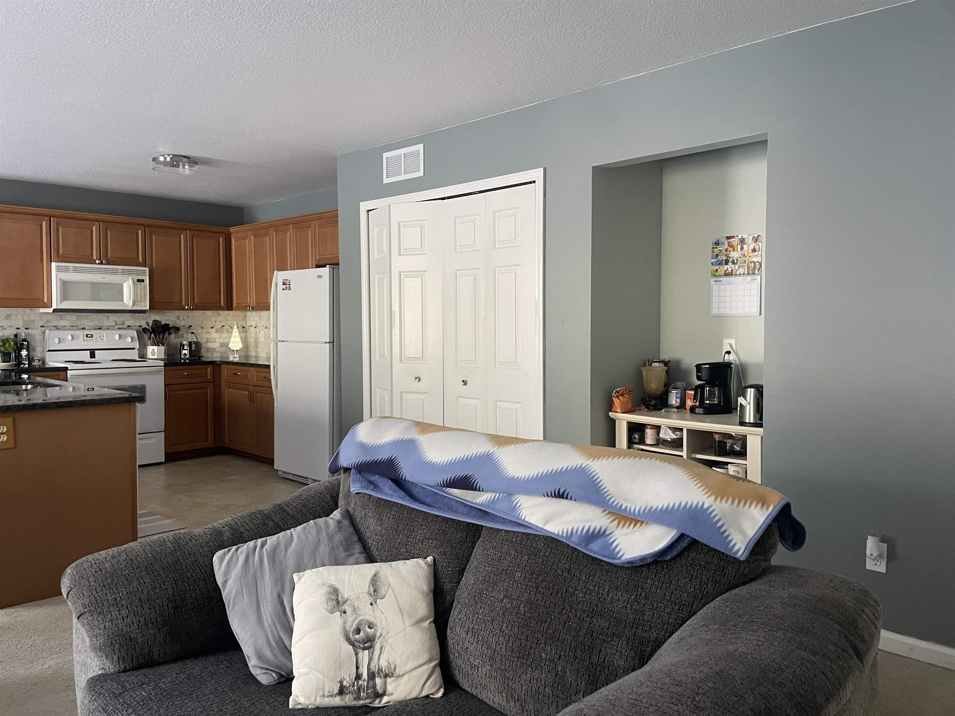 1639 Chippewa Way Mt. Pleasant City MI 48858