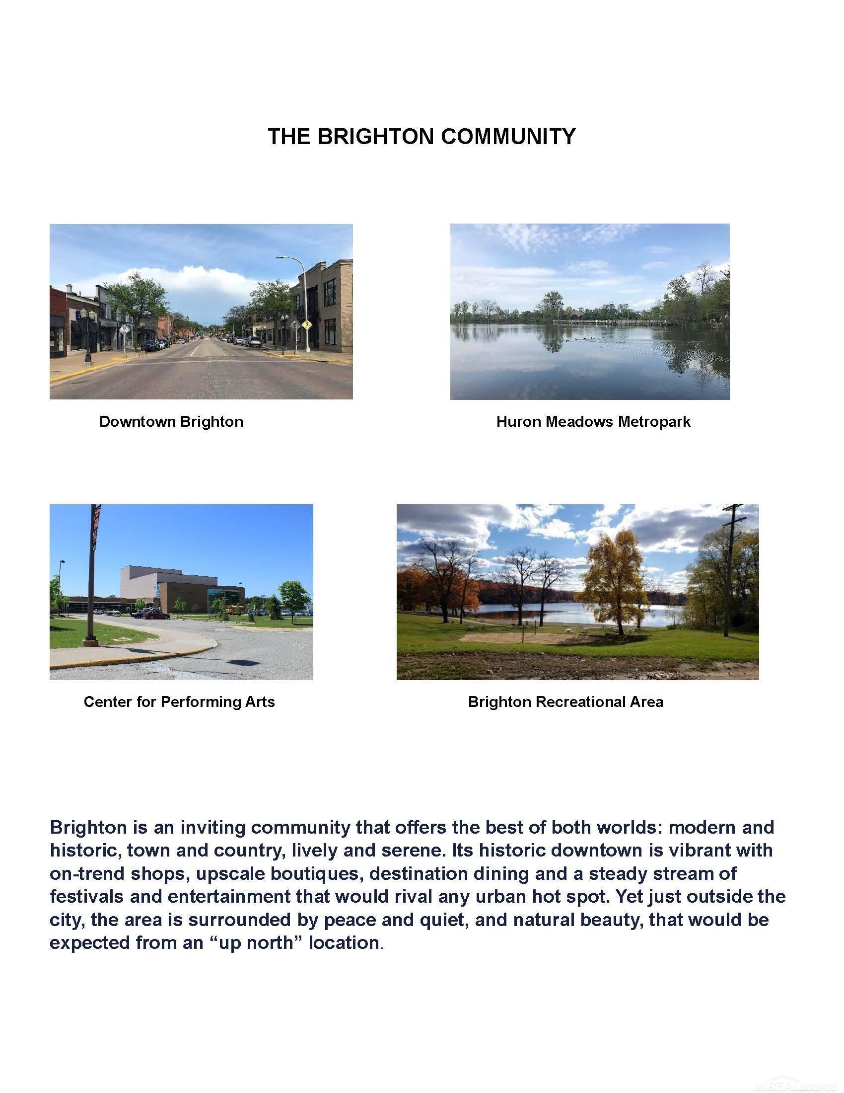 3923 Chatham Place Brighton Township MI 48114