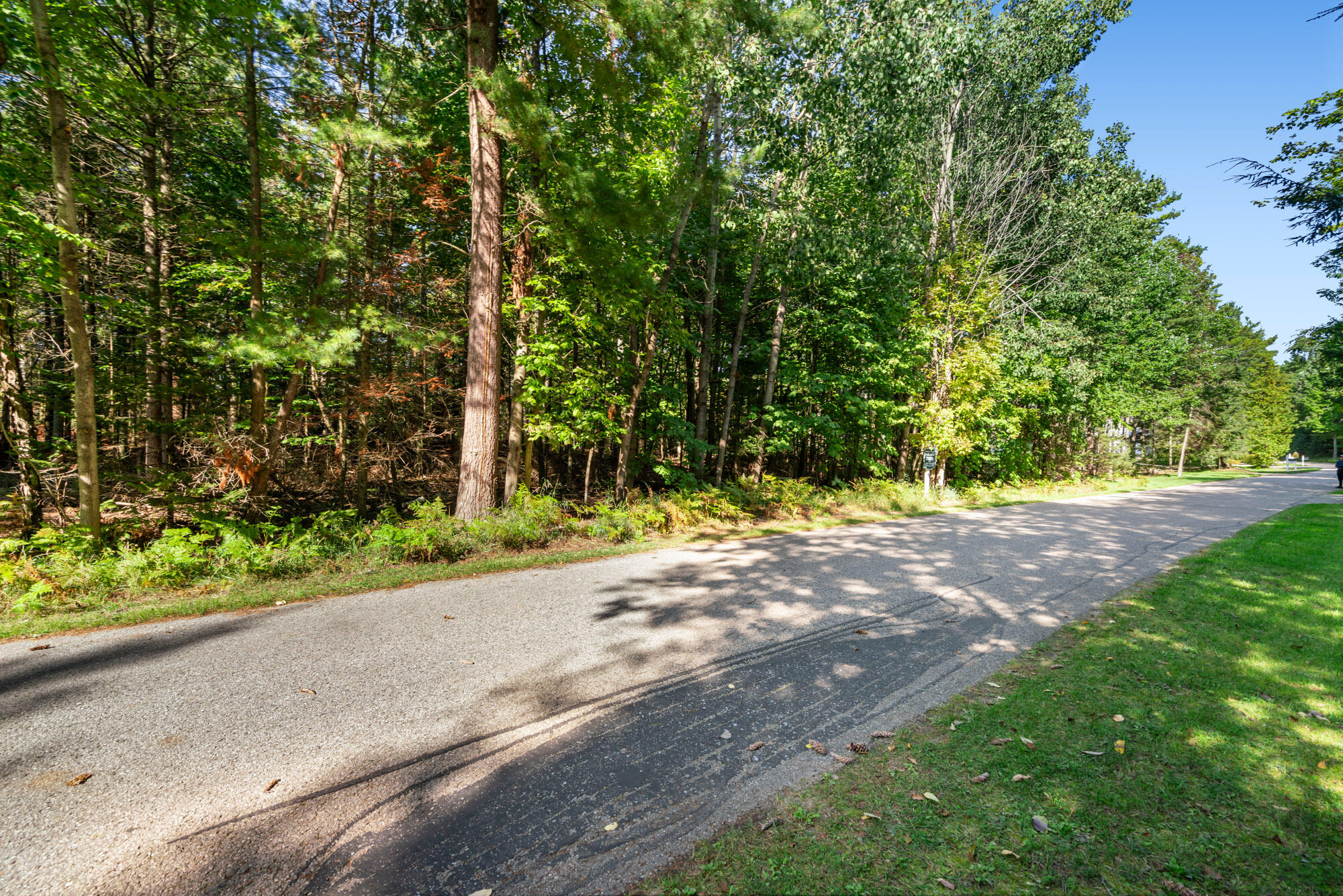 6 N Country Club Drive Hayes Township MI 49720