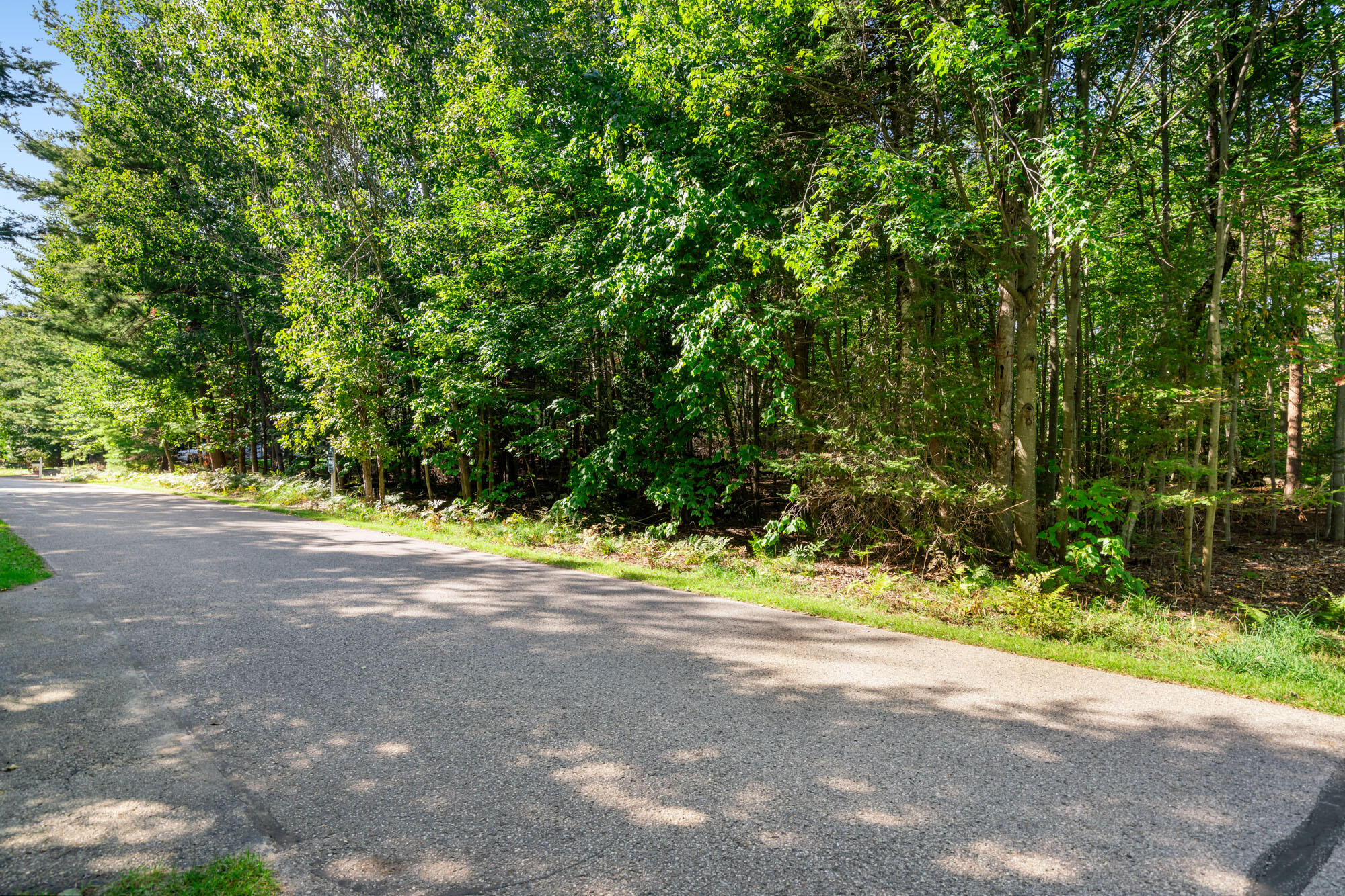 6 N Country Club Drive Hayes Township MI 49720